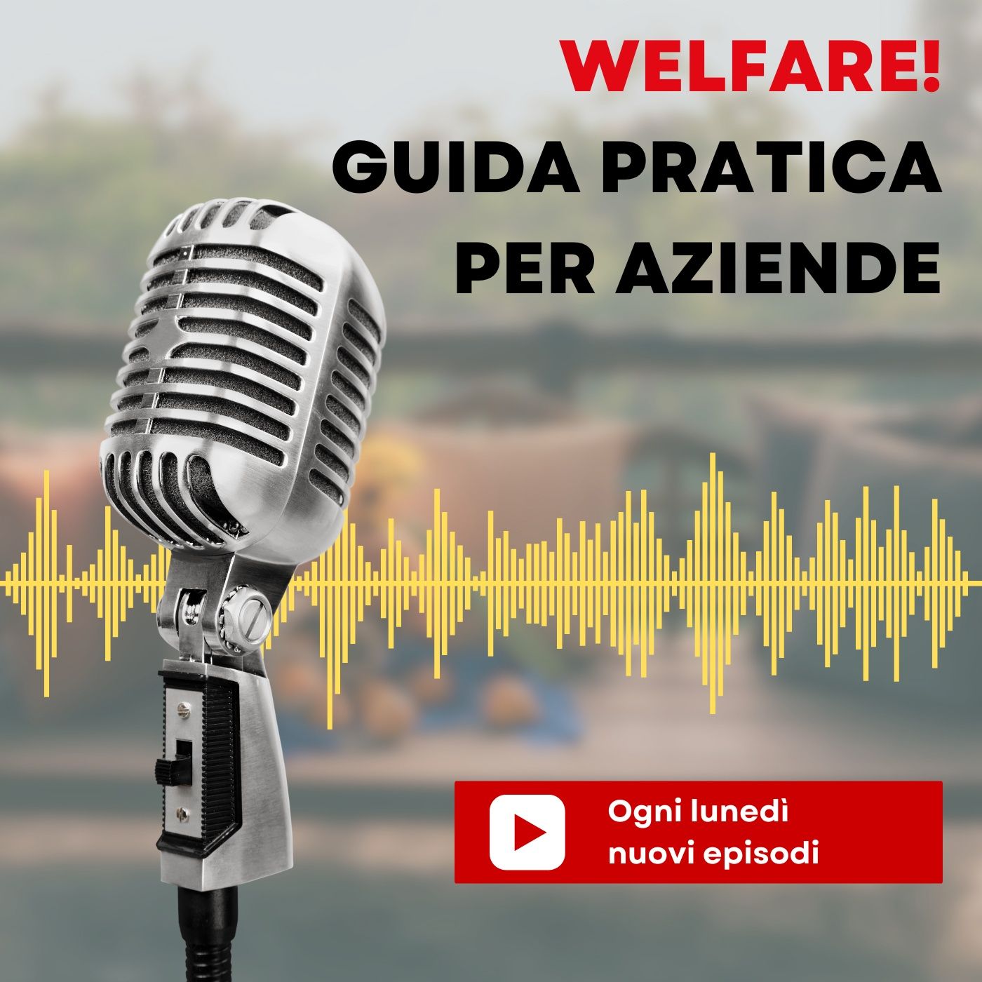 Welfare! guida pratica per aziende cover art