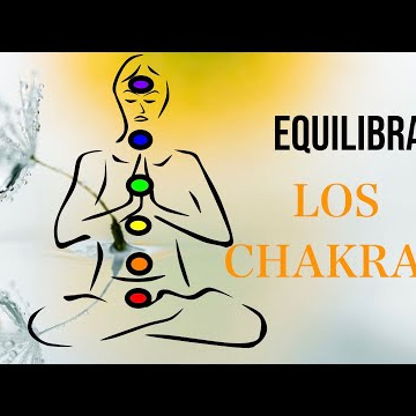 117. Meditación Guiada 10 Minutos EQUILIBRAR CHAKRAS
