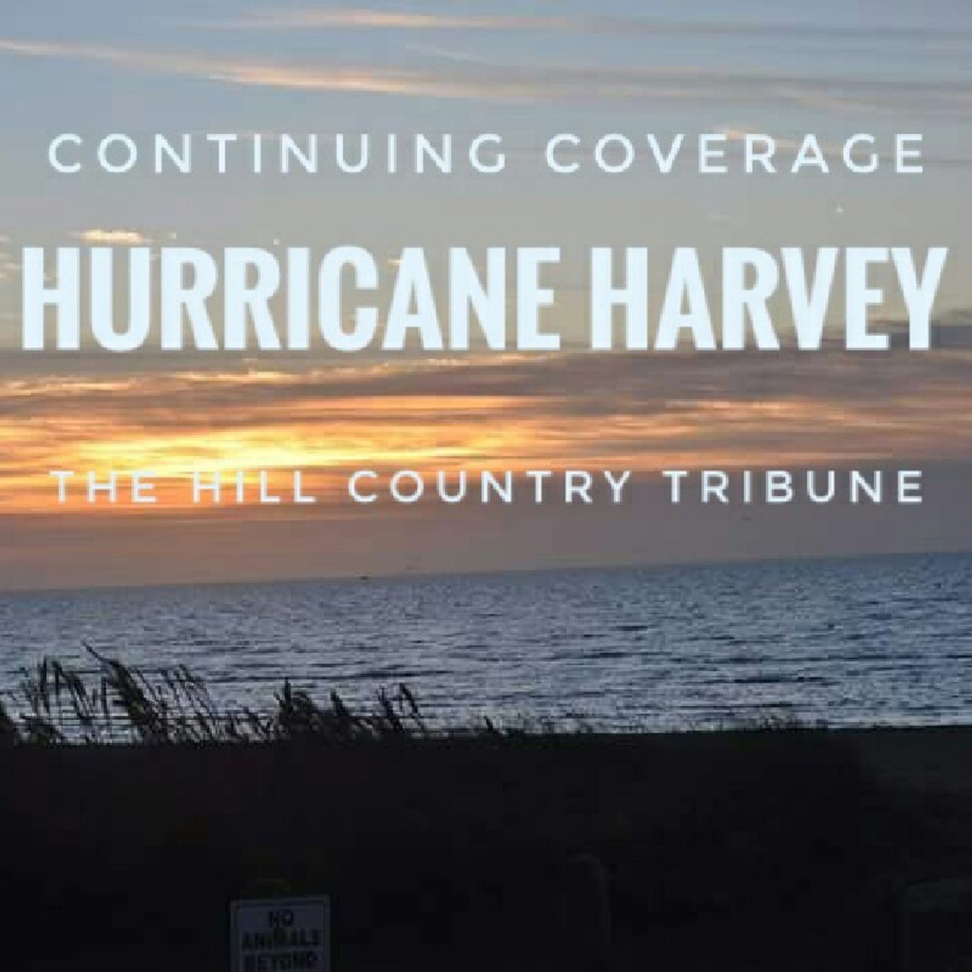 Texas State Representative Terry Wilson on Hurricane Harvey