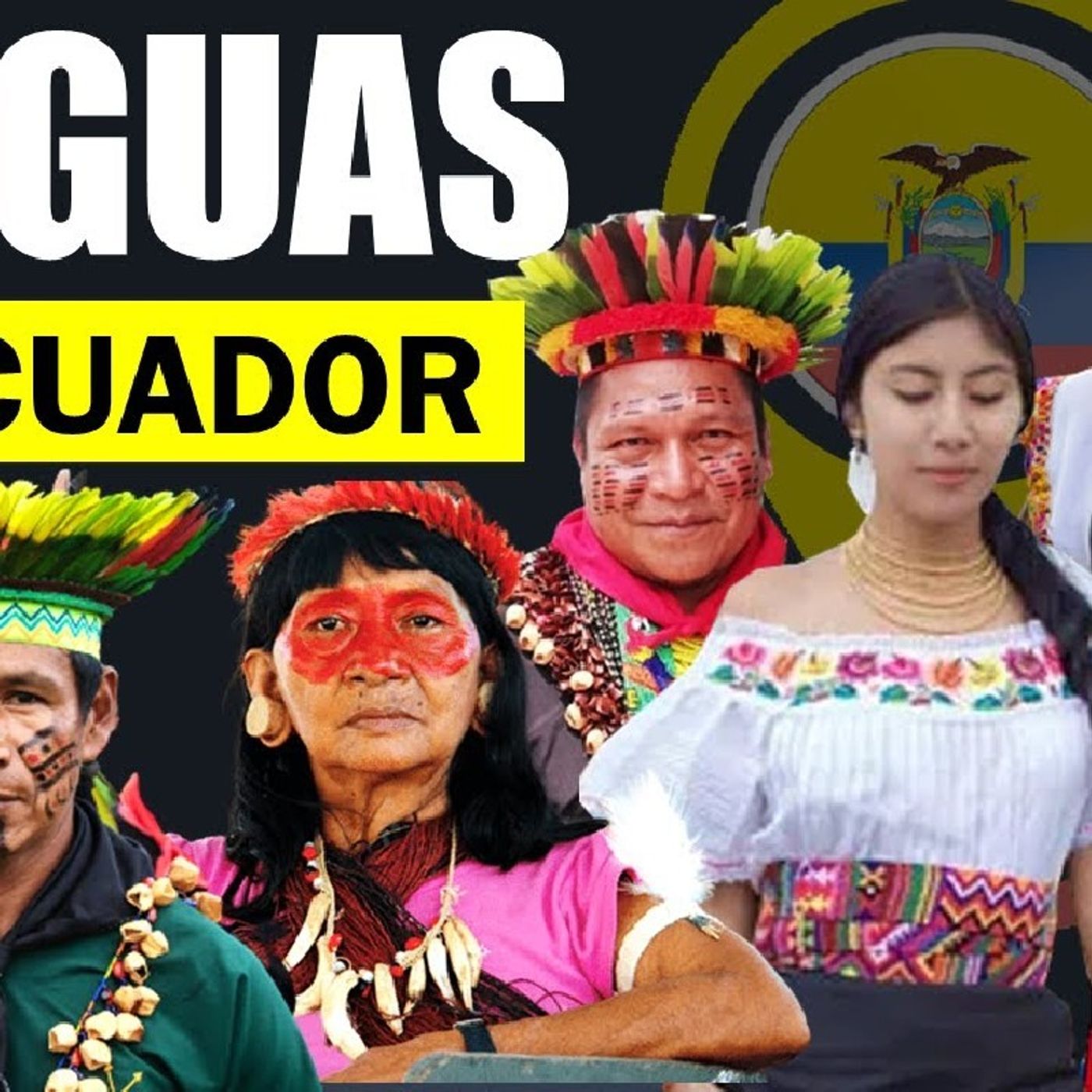 Causas de la diglosia entre el castellano y las lenguas originarias del país. episode artwork