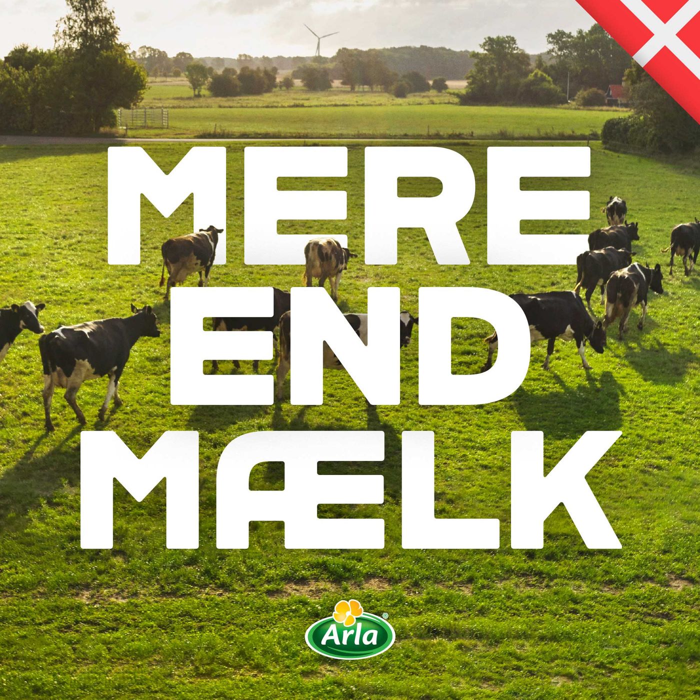 Arla - Mere end Mælk