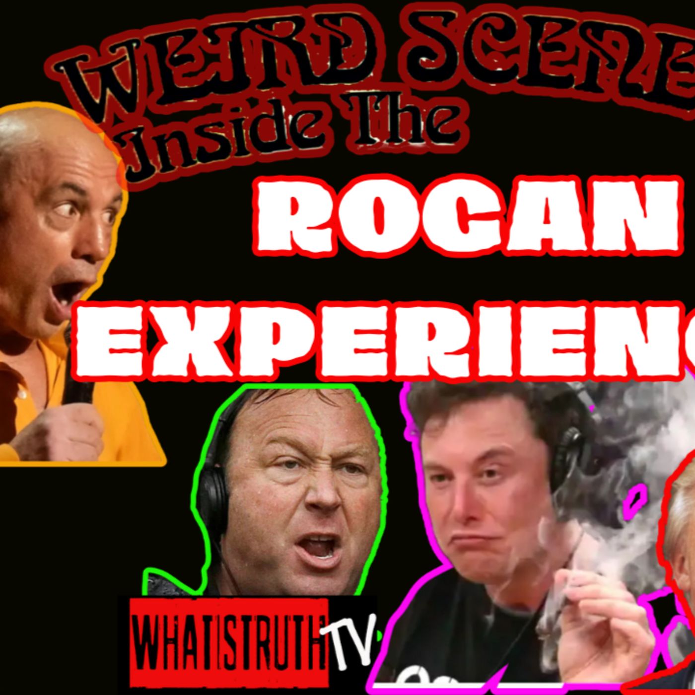 #229 Is The Rogan Experience The New Laurel Canyon 2.0 ? | Steve Poikonen #Rogan #USAID
