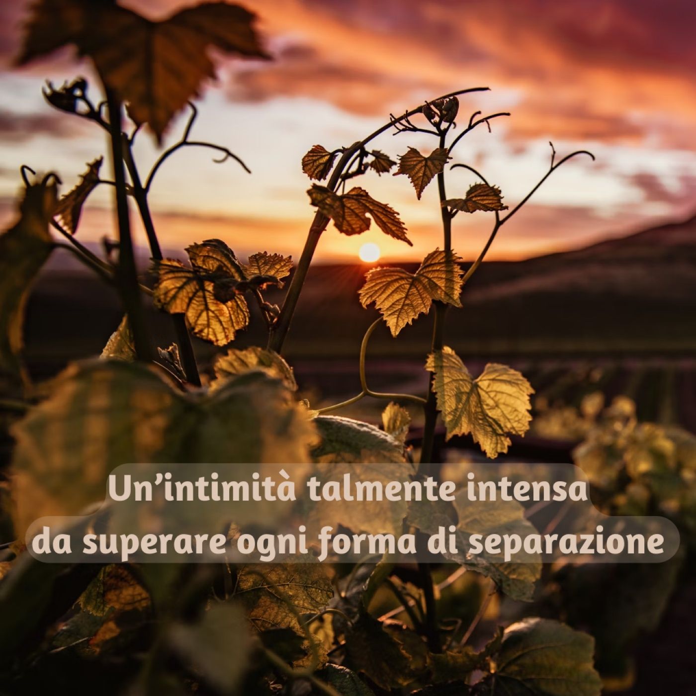 V Domenica Pasqua episode artwork