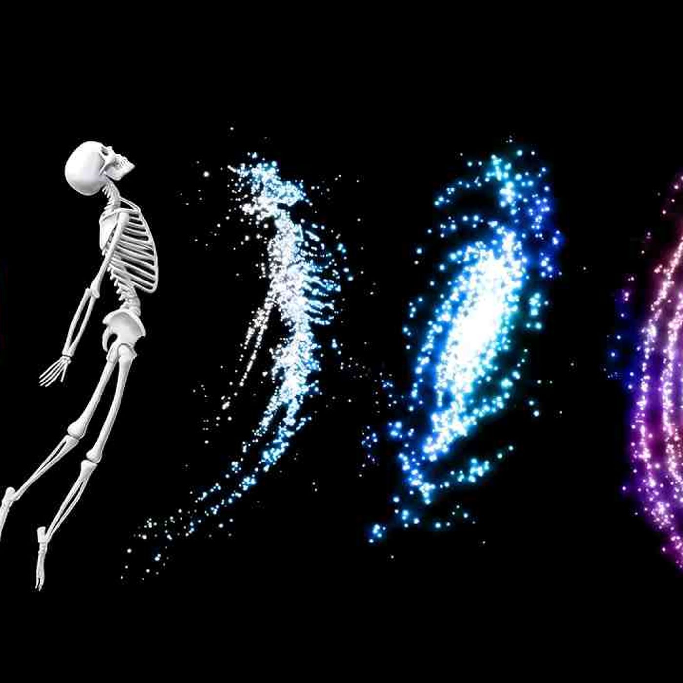 You are the Universe Experiencing Itself _ Spinoza_s God episode artwork