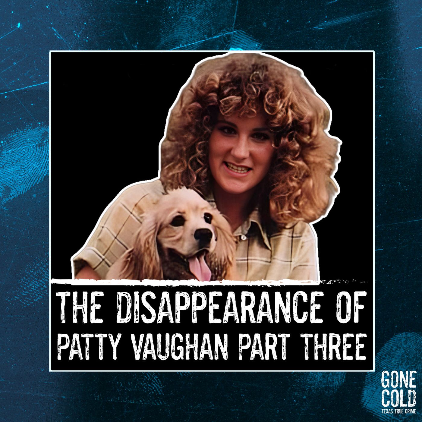 The Disappearance of Patty Vaughan Part 3