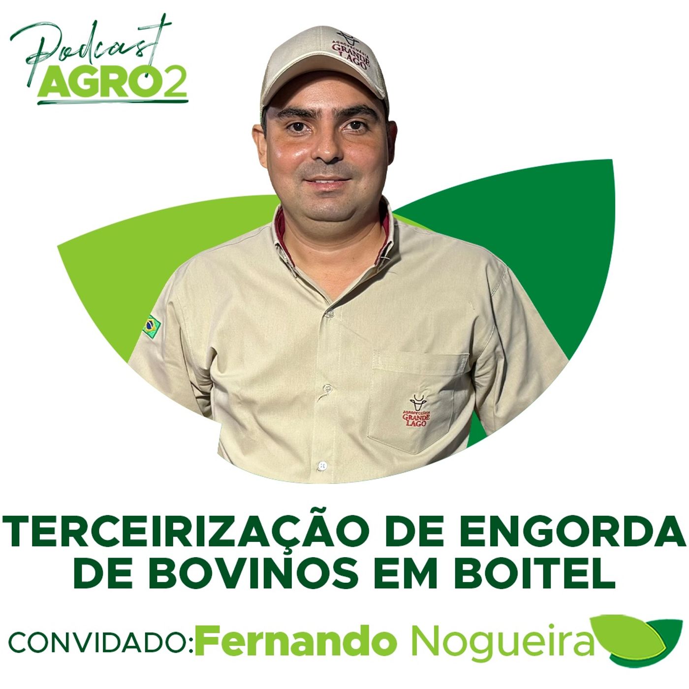 Terceirização de engorda de bovinos em boitel traz mais lucro a pequenos e médios pecuaristas #276 episode artwork