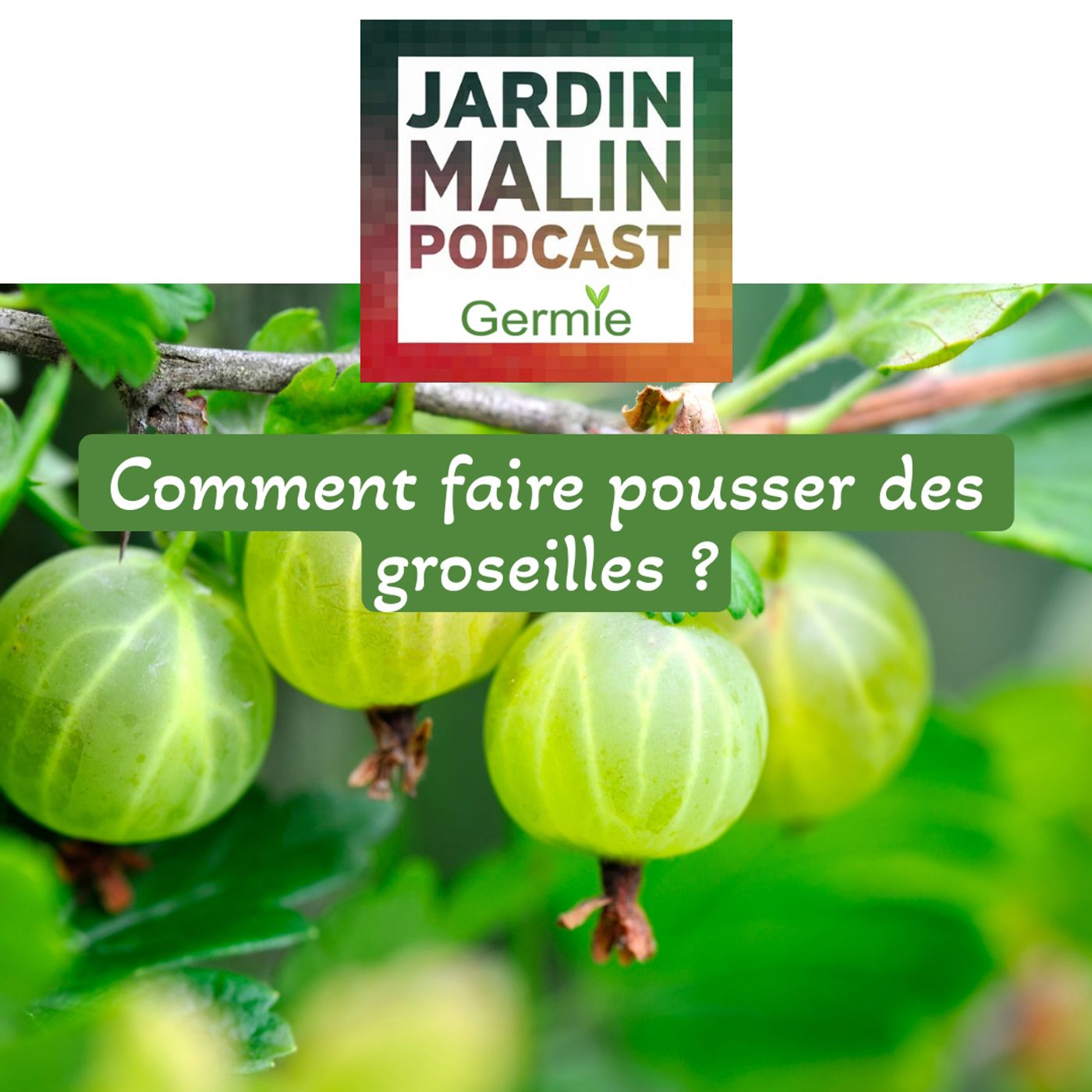 JARDIN MALIN by Germie