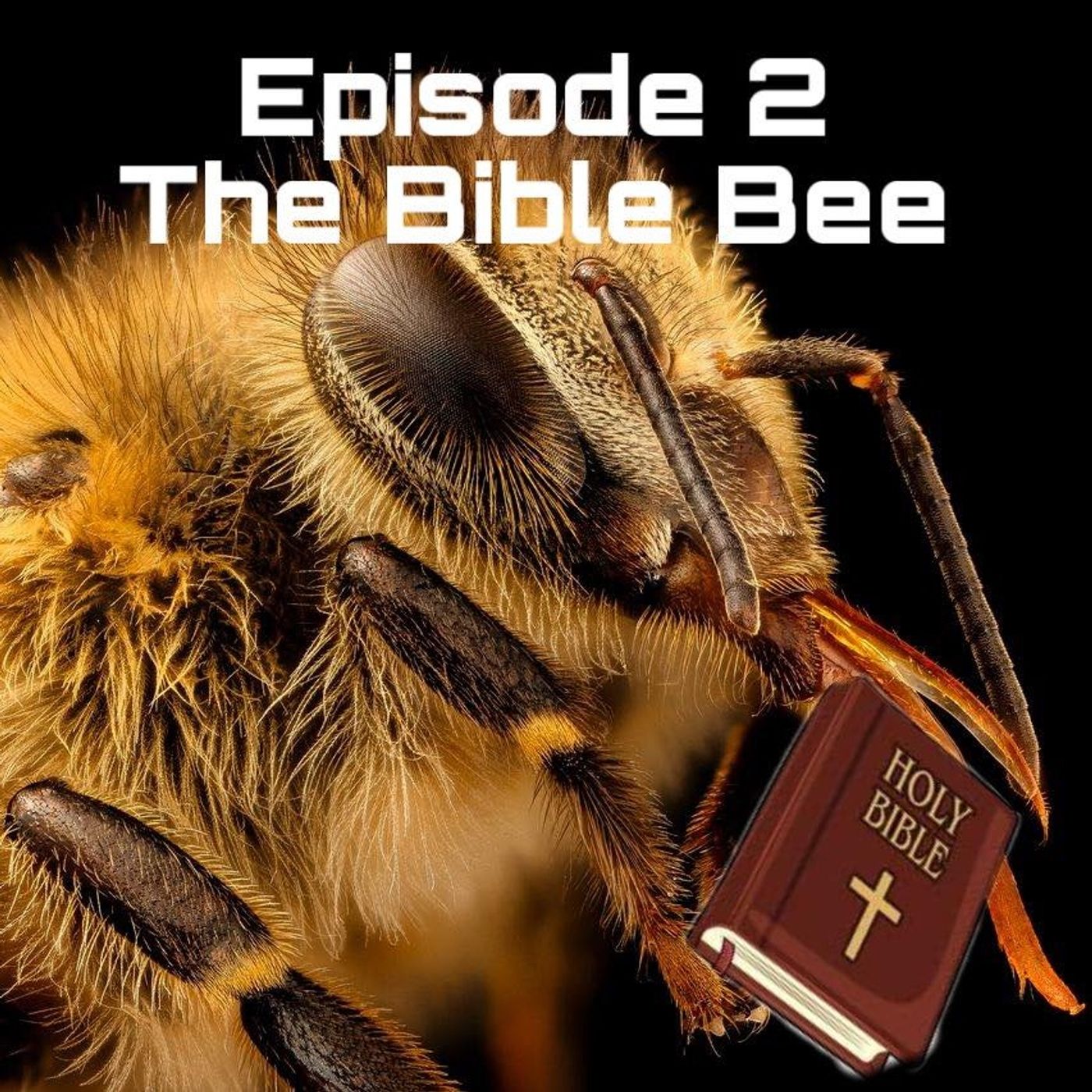 Episode 2: The Bible Bee