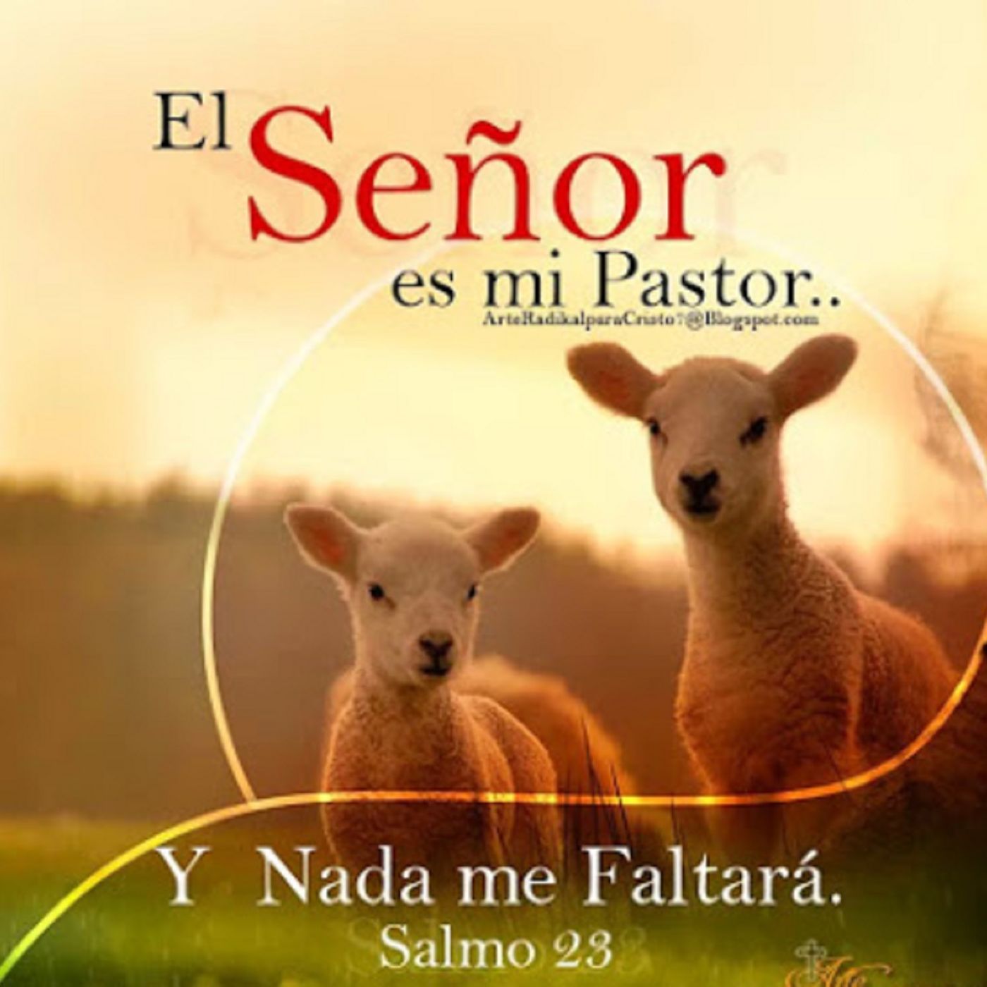 Reflexión del Salmo por el Pbro. Emilio Navar