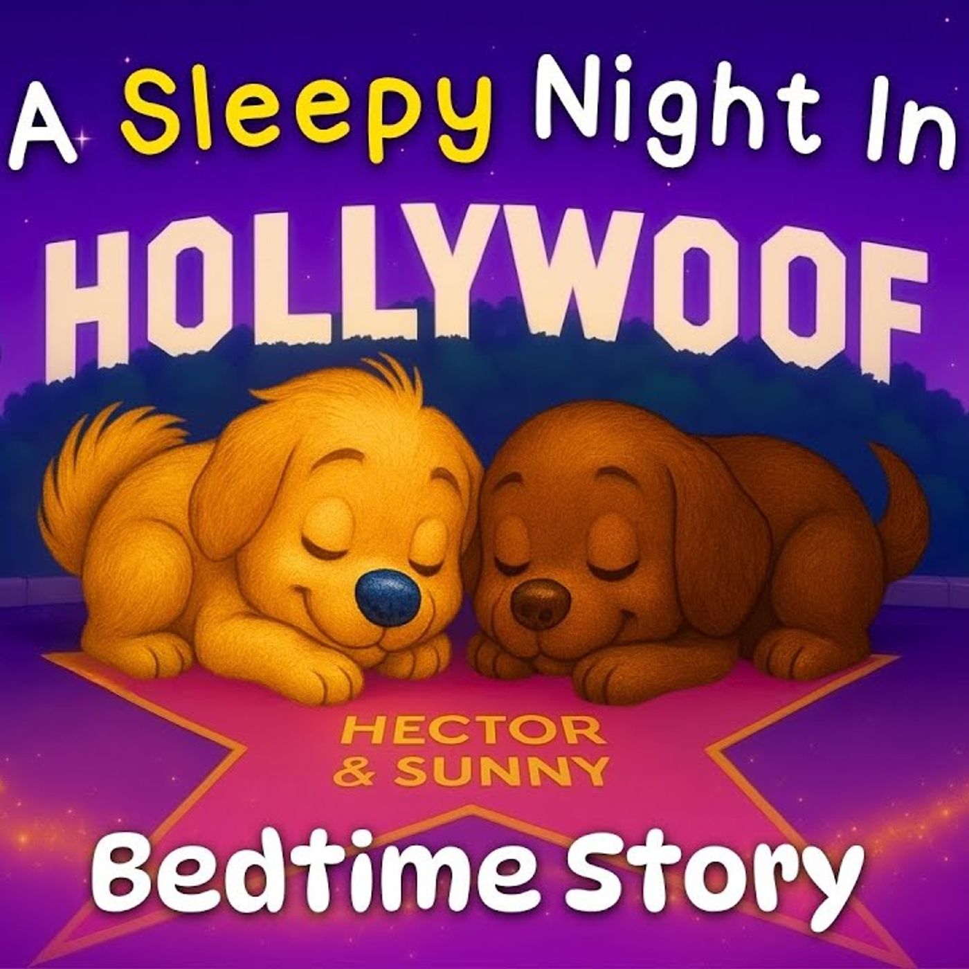 Hector _ Sunny_s Snooze  Calming Bedtime Stories For Kids  2 HOURS No Ads  Koala Moon episode artwork
