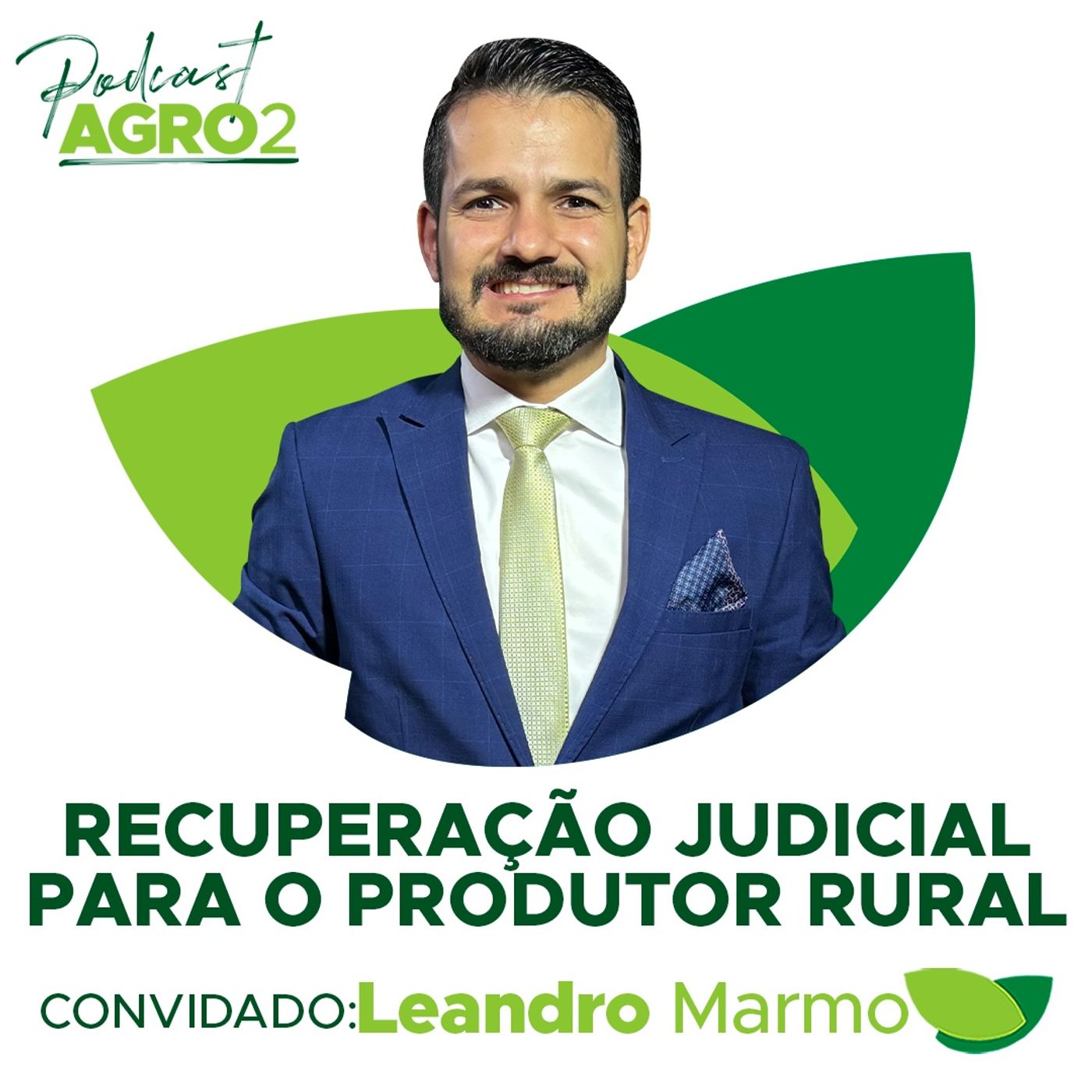 vRecuperação judicial para o produtor rural: quando é recomendada para regularizar finanças? #271 episode artwork