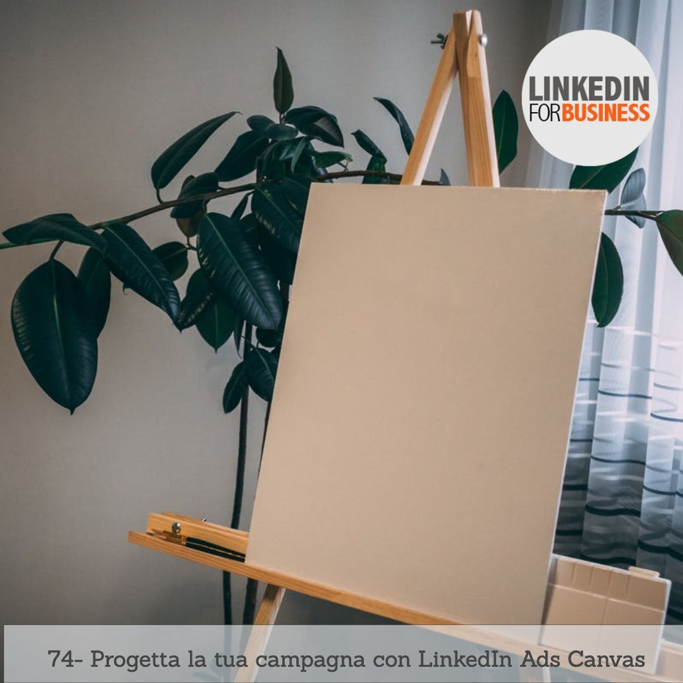LinkedinForBusiness by Leonardo Bellini