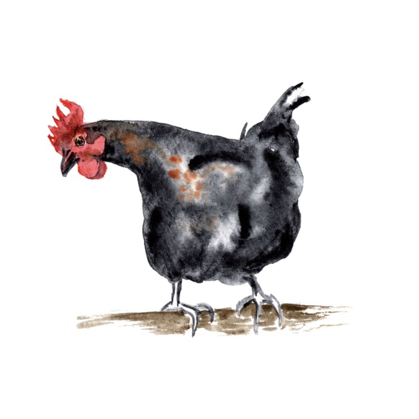 Uncle Wiggily And Higgledee Piggledee | Animal Stories episode artwork