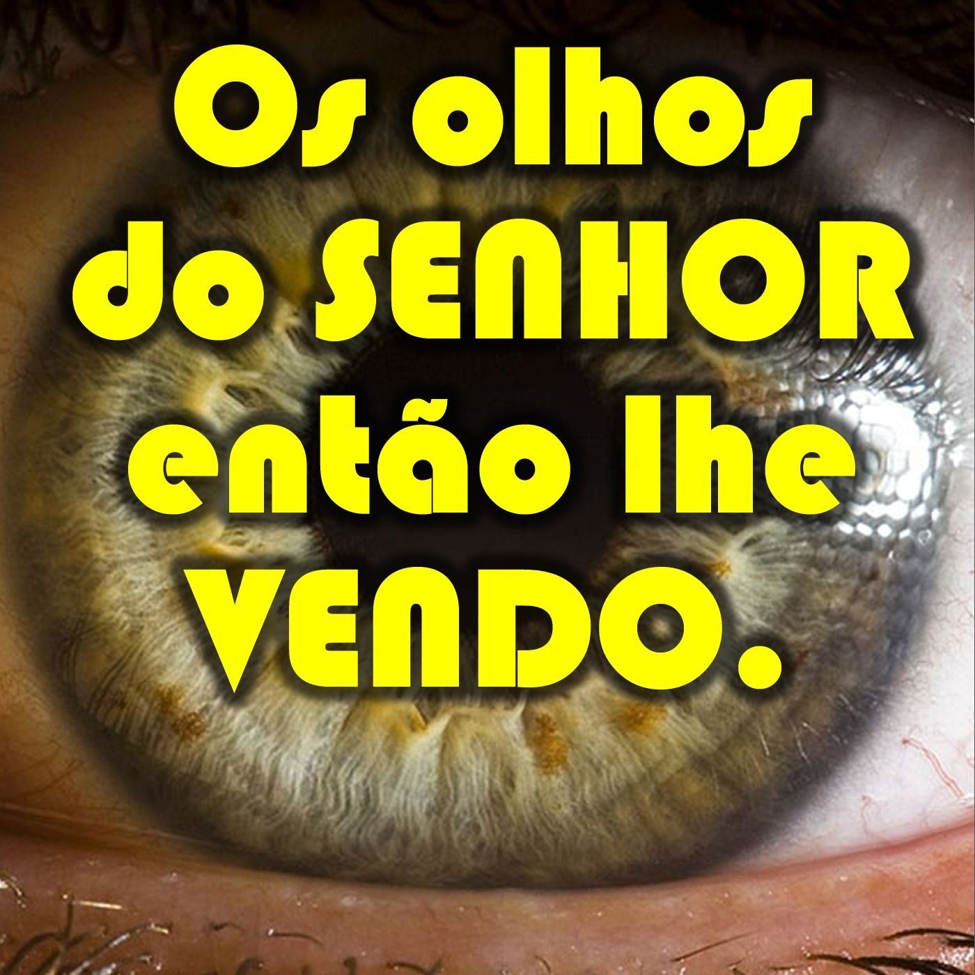 Silva Mattos