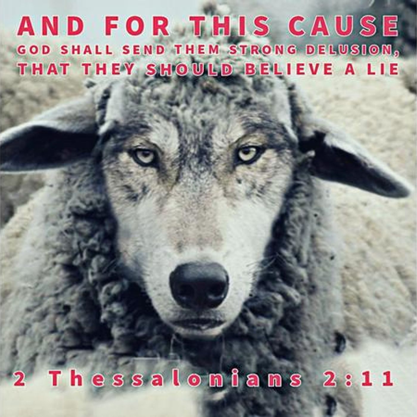 Is This The Church? Weekly Broadcast #250-Scoffers Keep Scoffing episode artwork