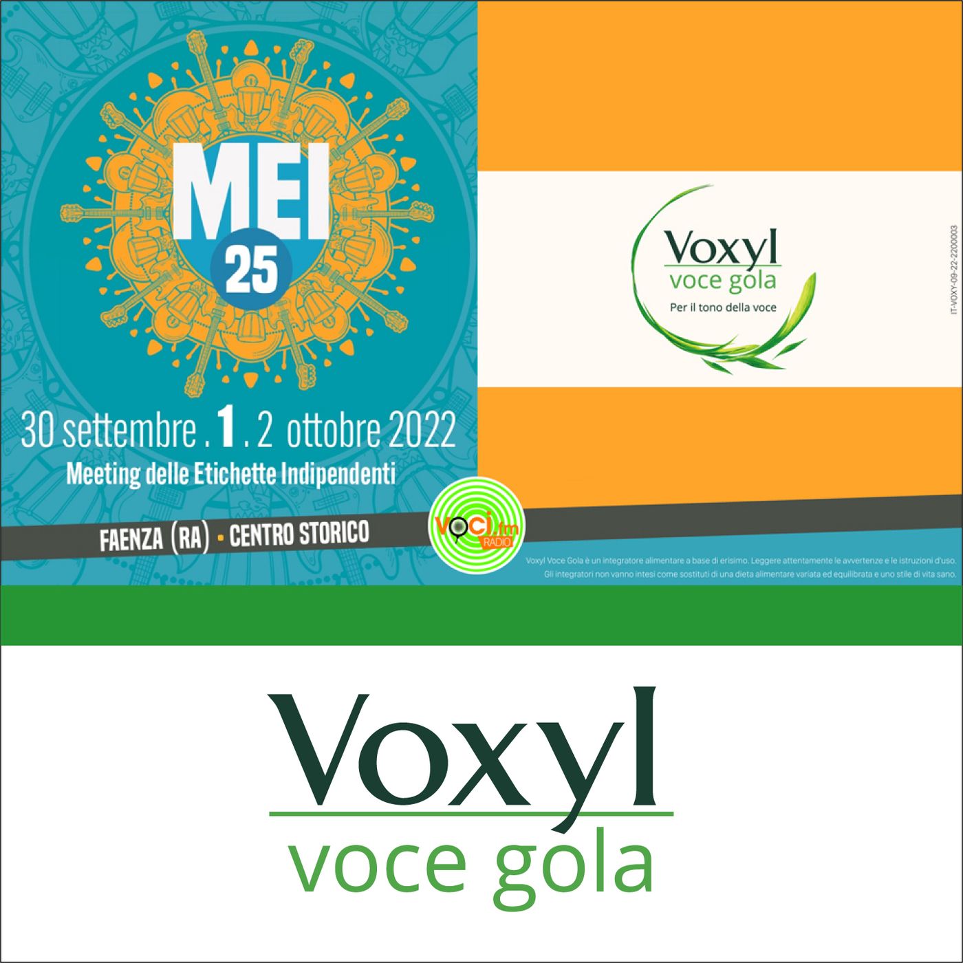 Voxyl Voce Gola