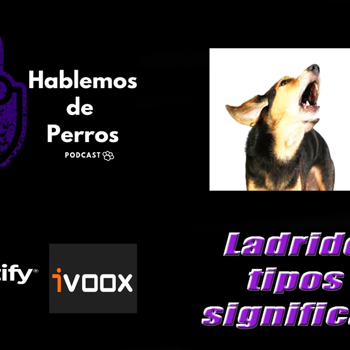 Hablemos de perros