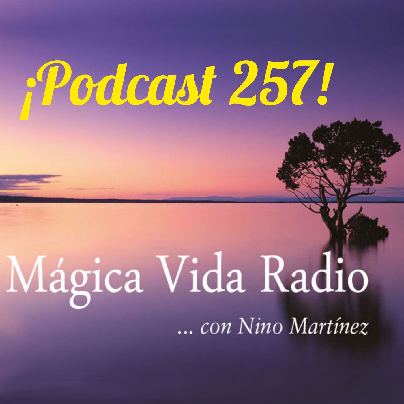Mágica Vida Radio