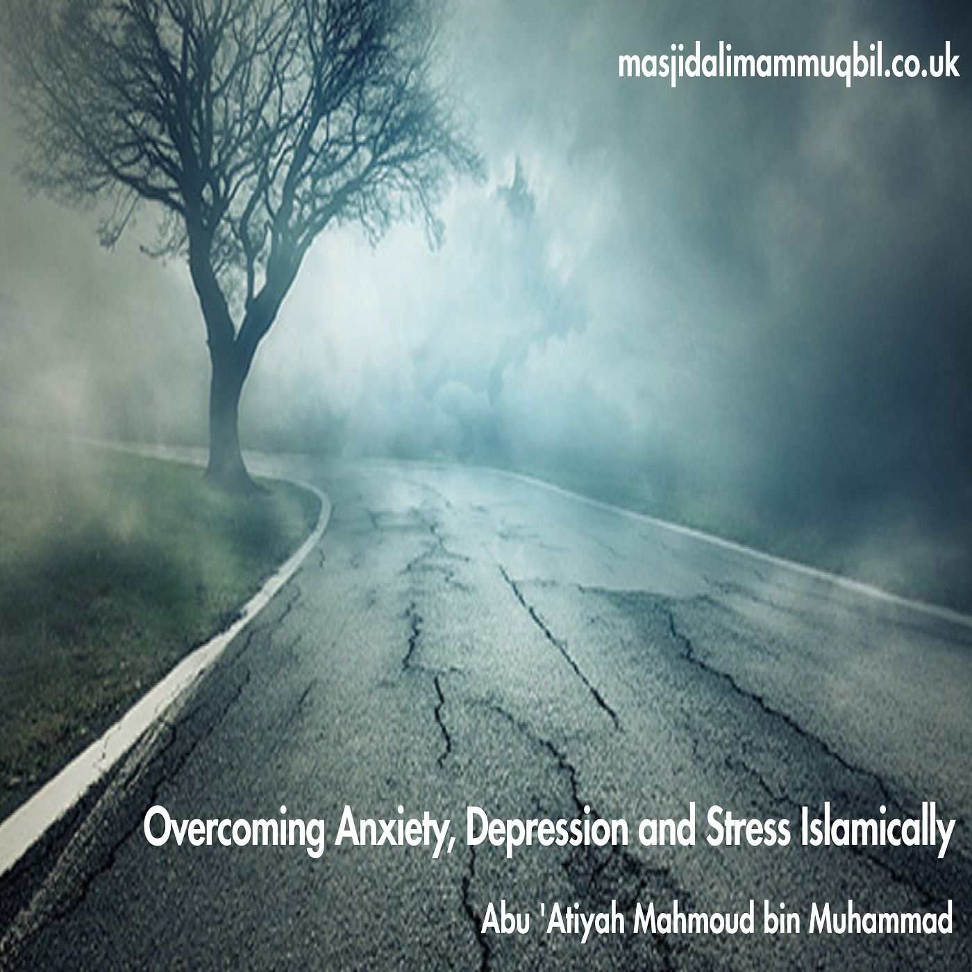 Overcoming Anxiety, Depression and Stress Islamically | Abu 'Atiyah Mahmoud bin Muhammad episode artwork