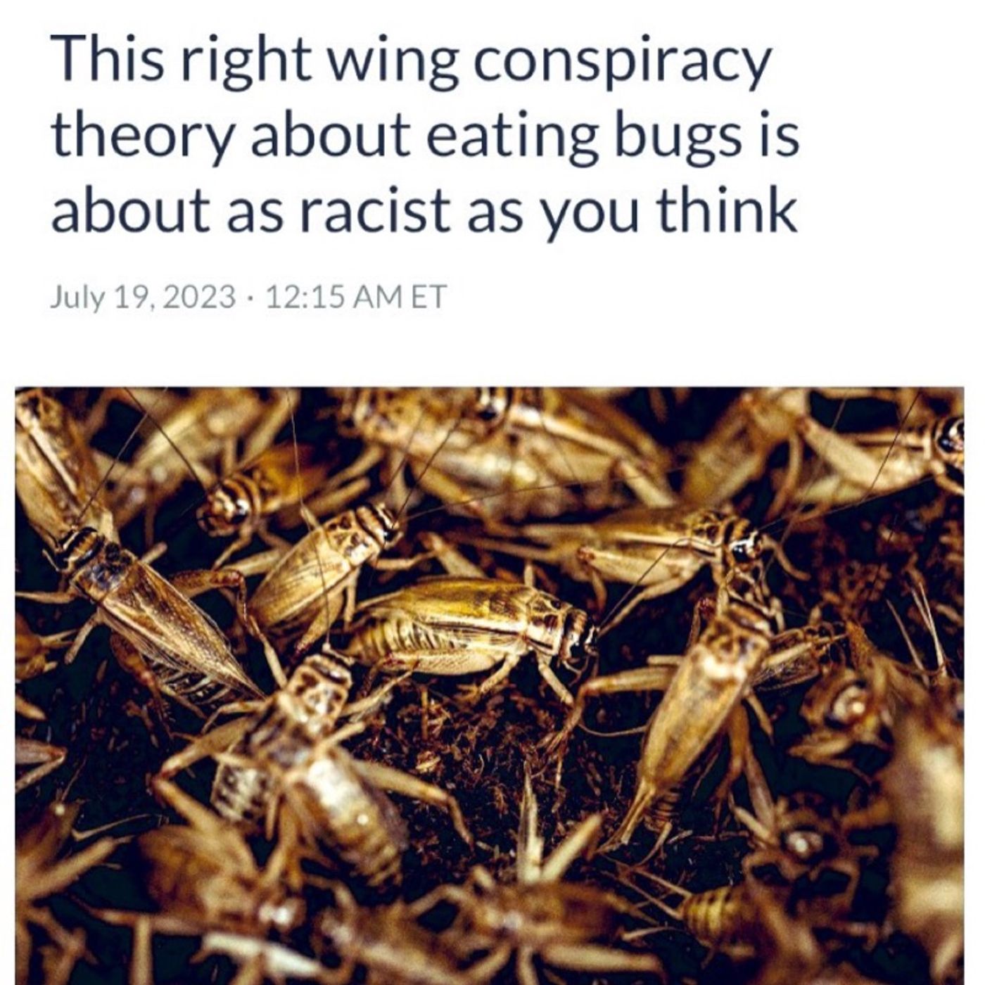 Vigilant Truth