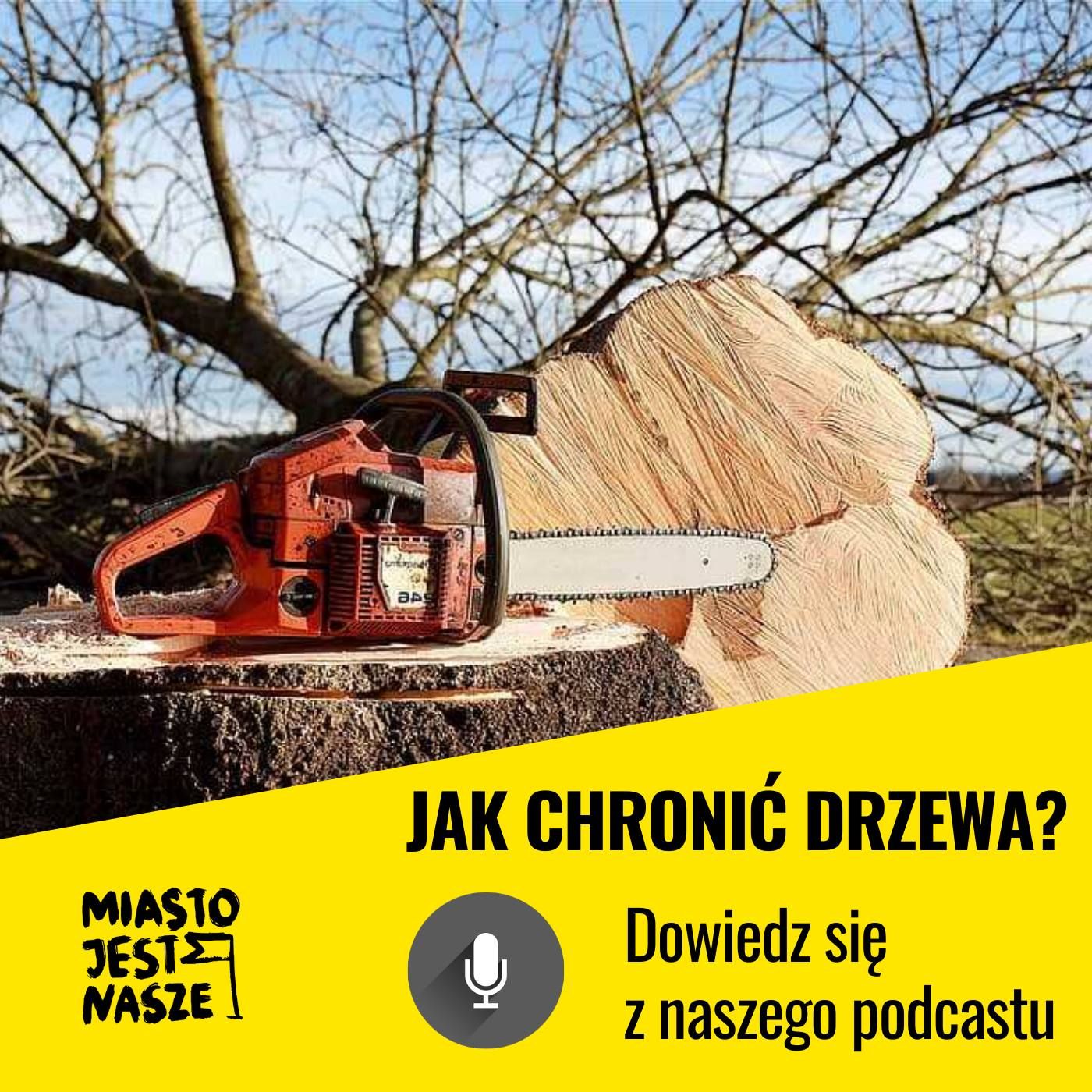 Miasto Jest Nasze