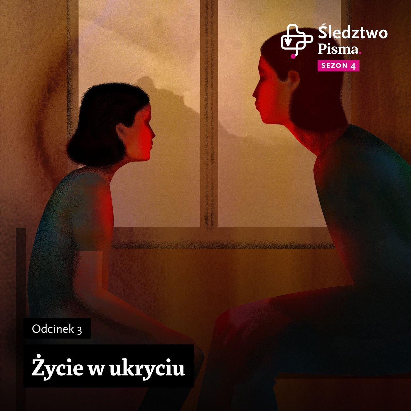Śledztwo Pisma