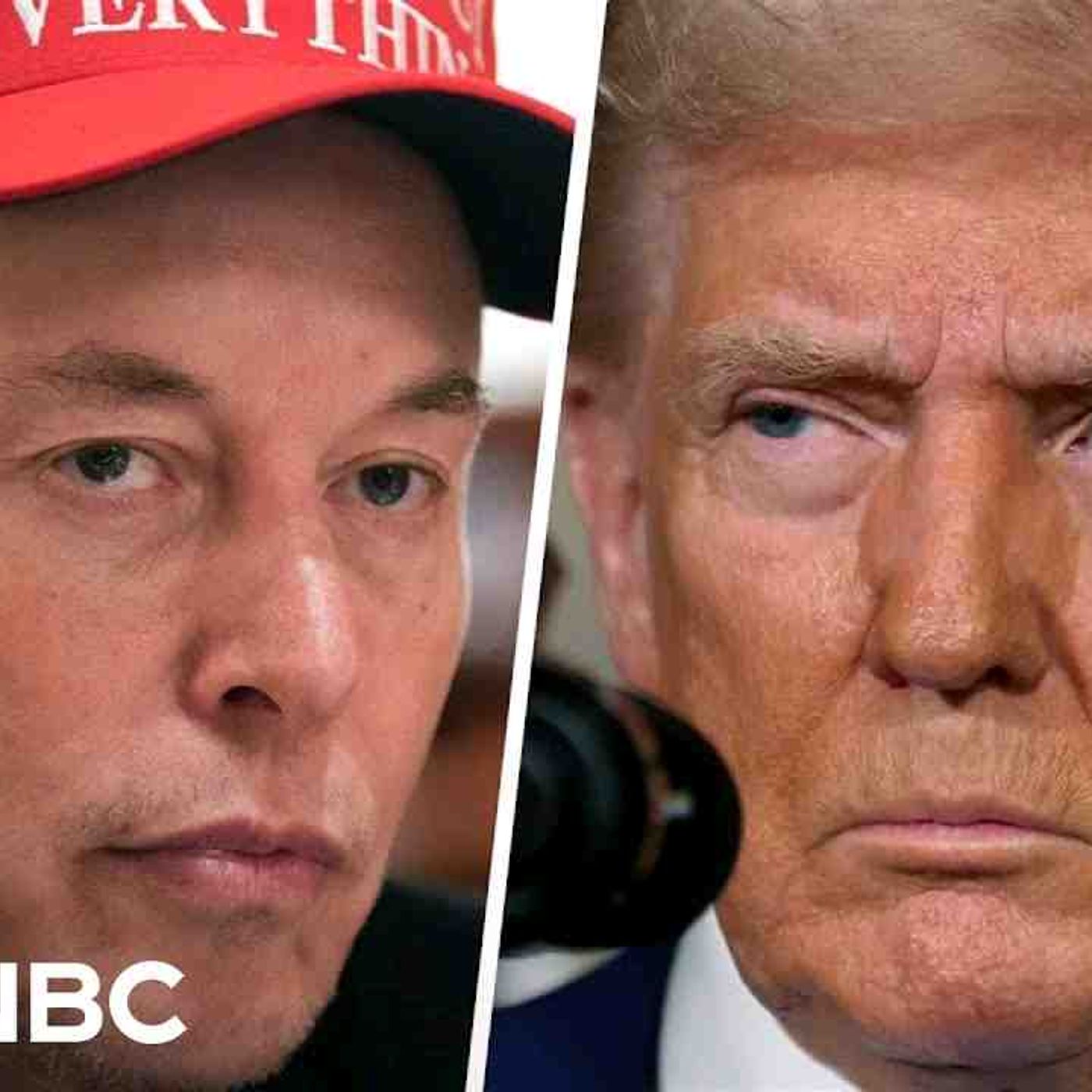 _A lot of incompatibilities__ Musk exits Trump_s White House_ says DOGE will go on(MP3_160K) episode artwork
