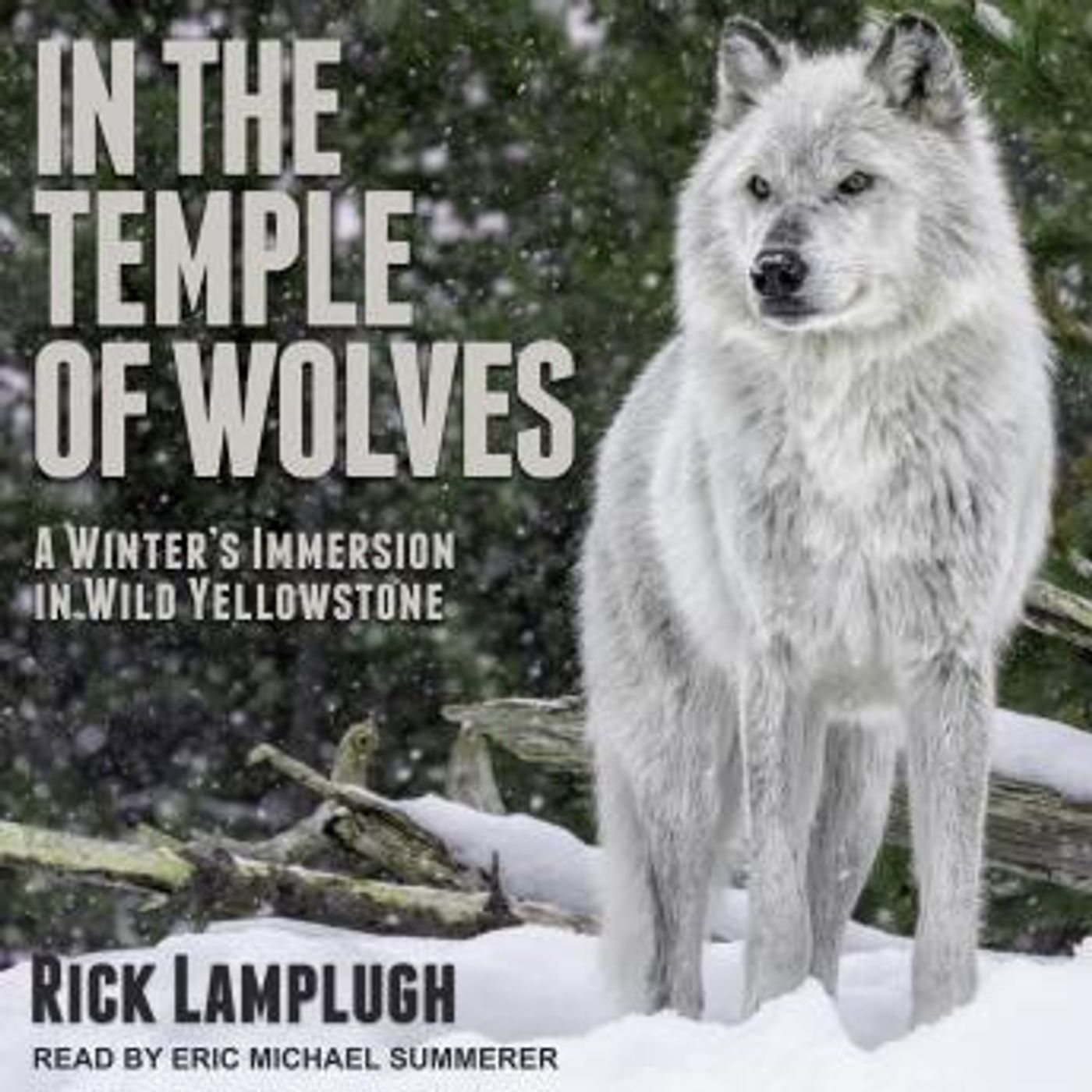Listen to Top Full Audiobooks in Non-Fiction, Animals & Nature