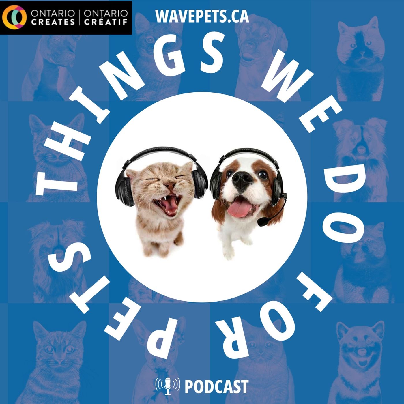 Things We Do For Pets