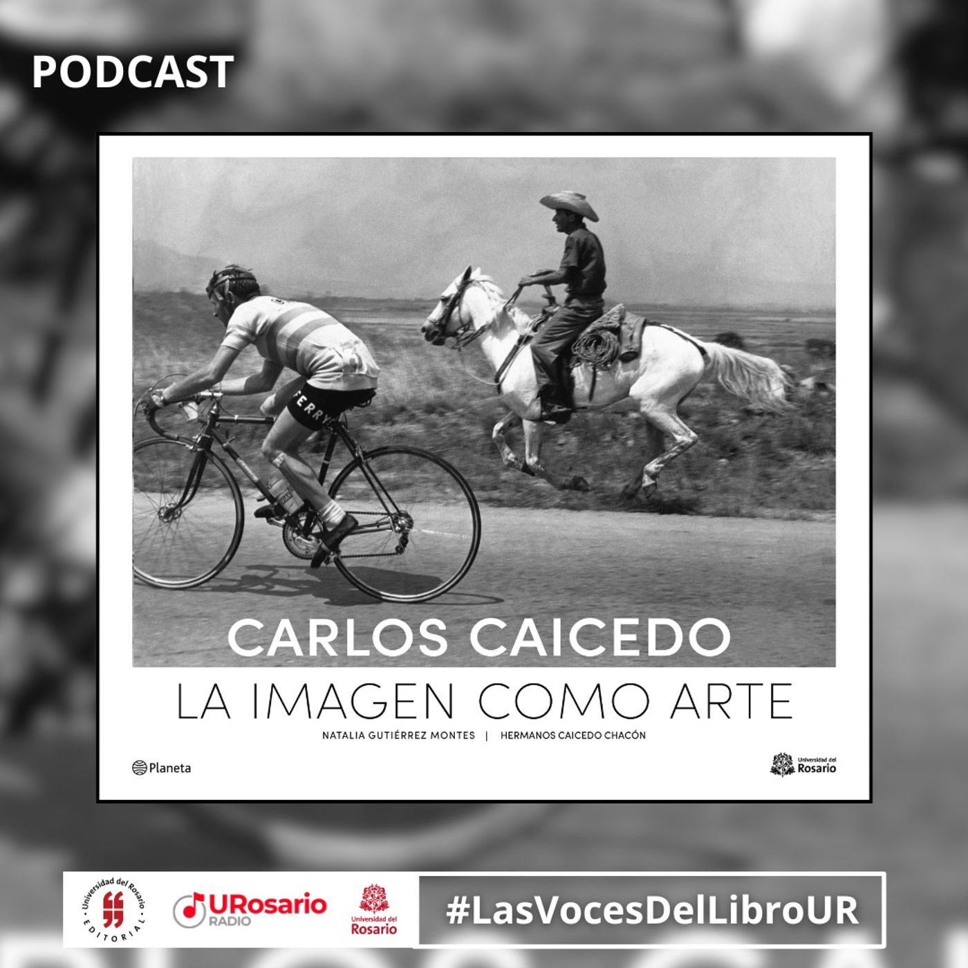 Carlos Caicedo La Imagen como Arte