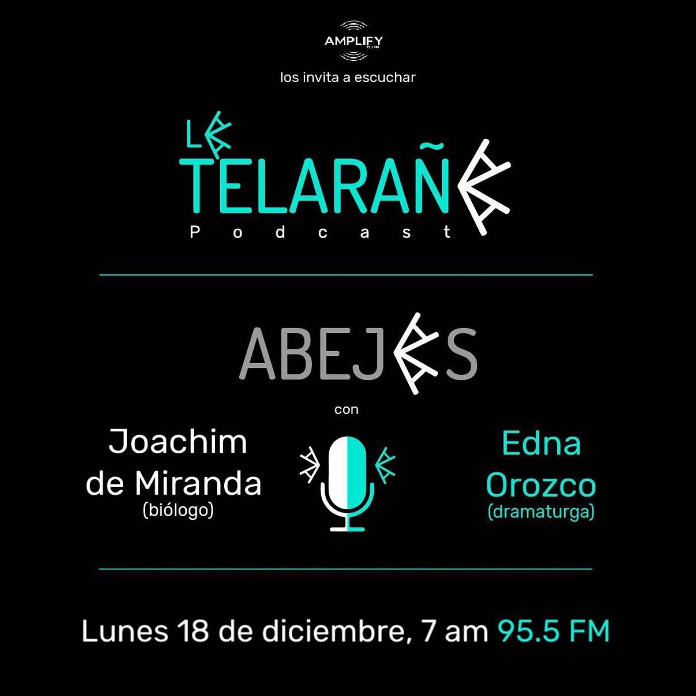 Portada de La Telaraña