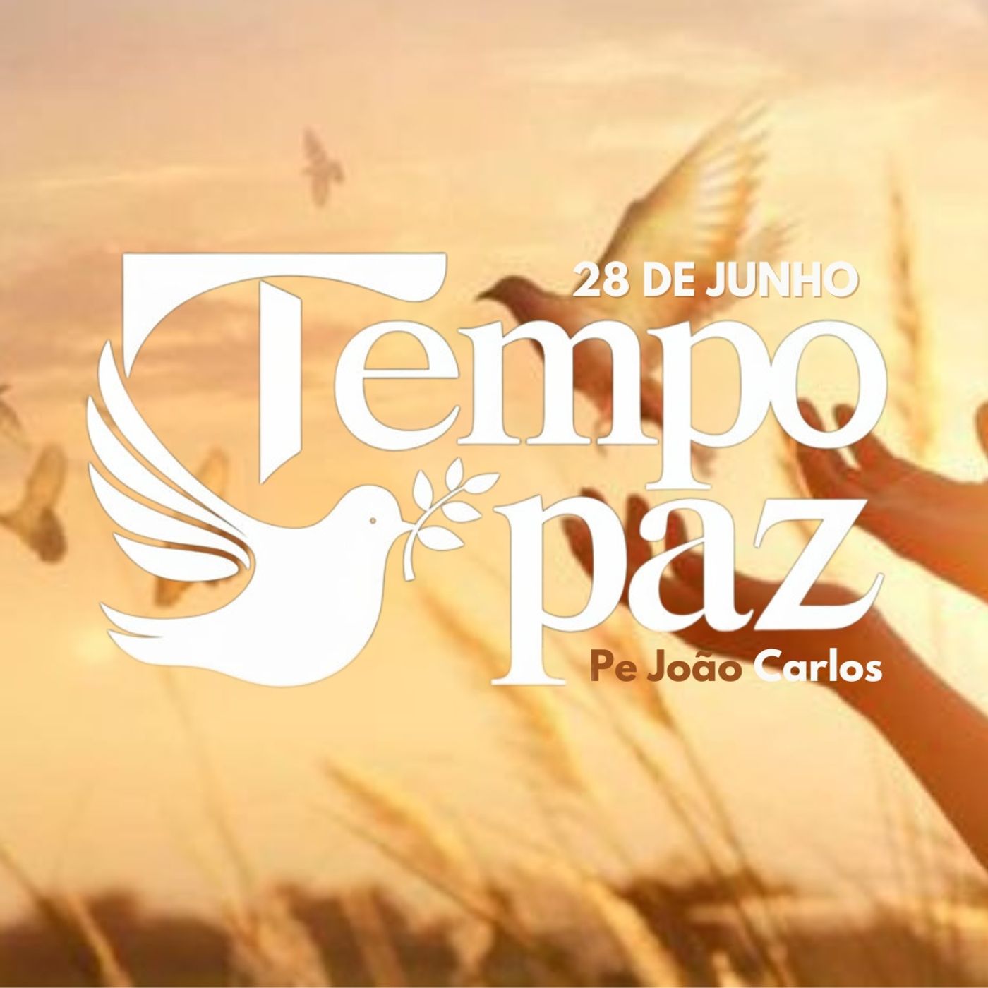 Pe. João Carlos - Meditação da Palavra