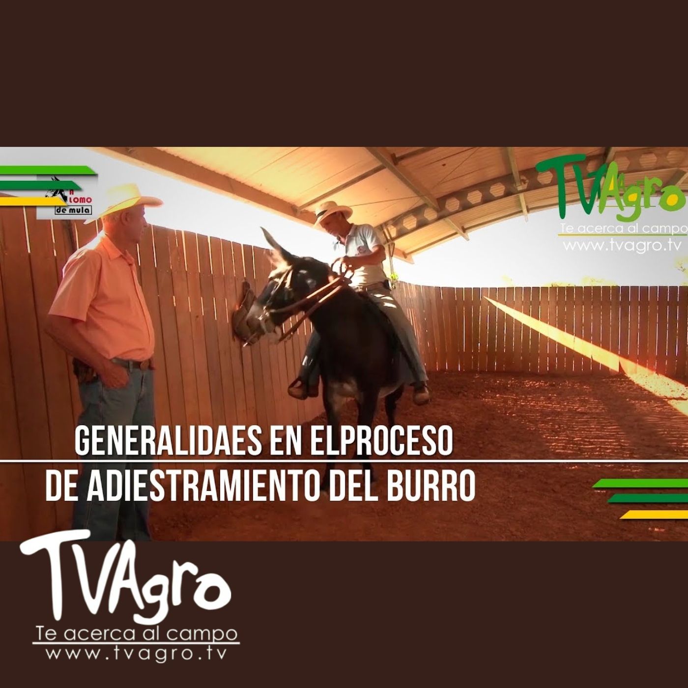 TV AGRO