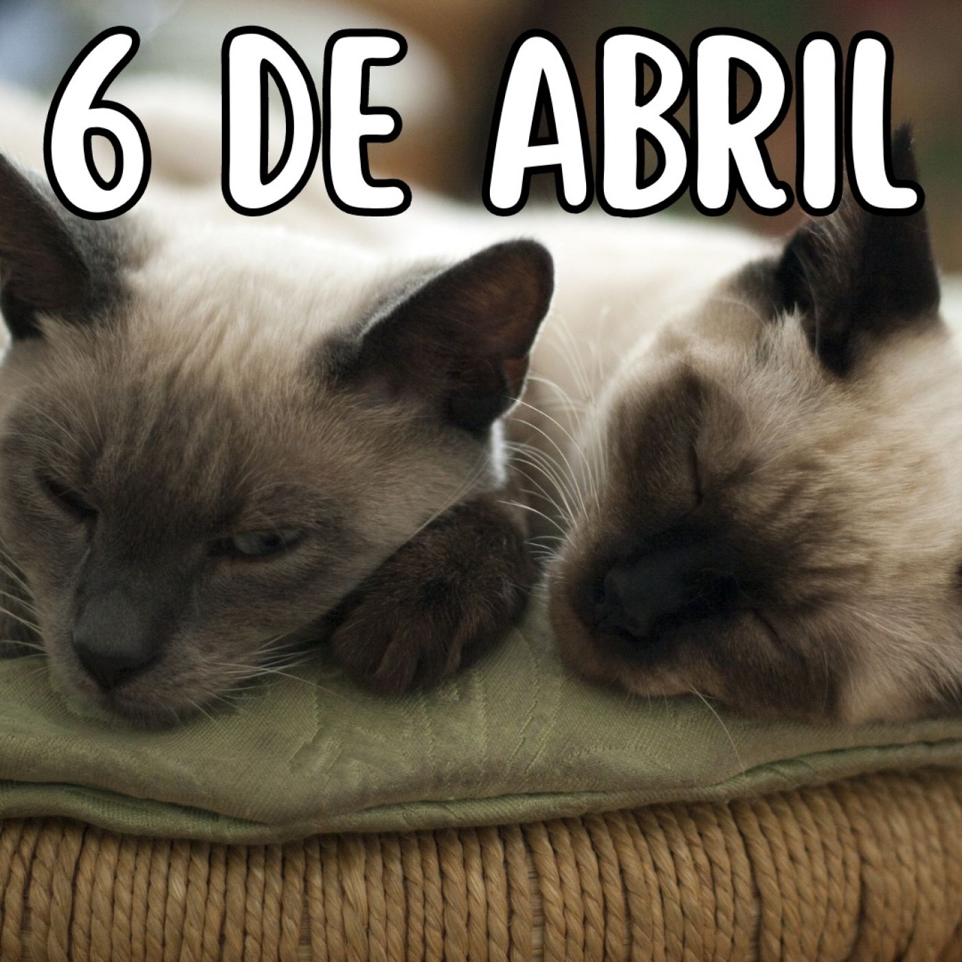 Las mañanas Klanderianas