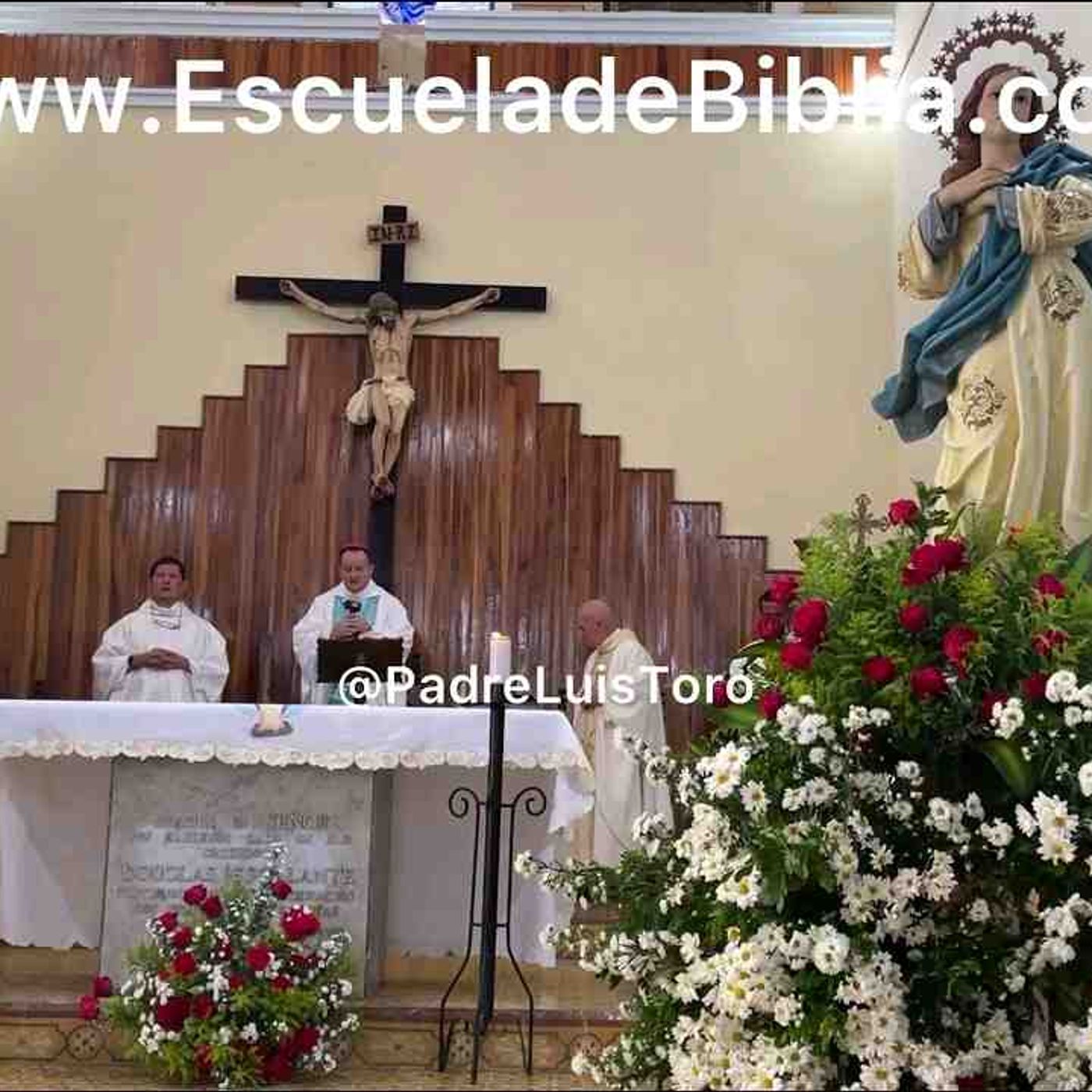 Padre Luis Toro. Fiesta en su parroquia(MP3_160K) episode artwork