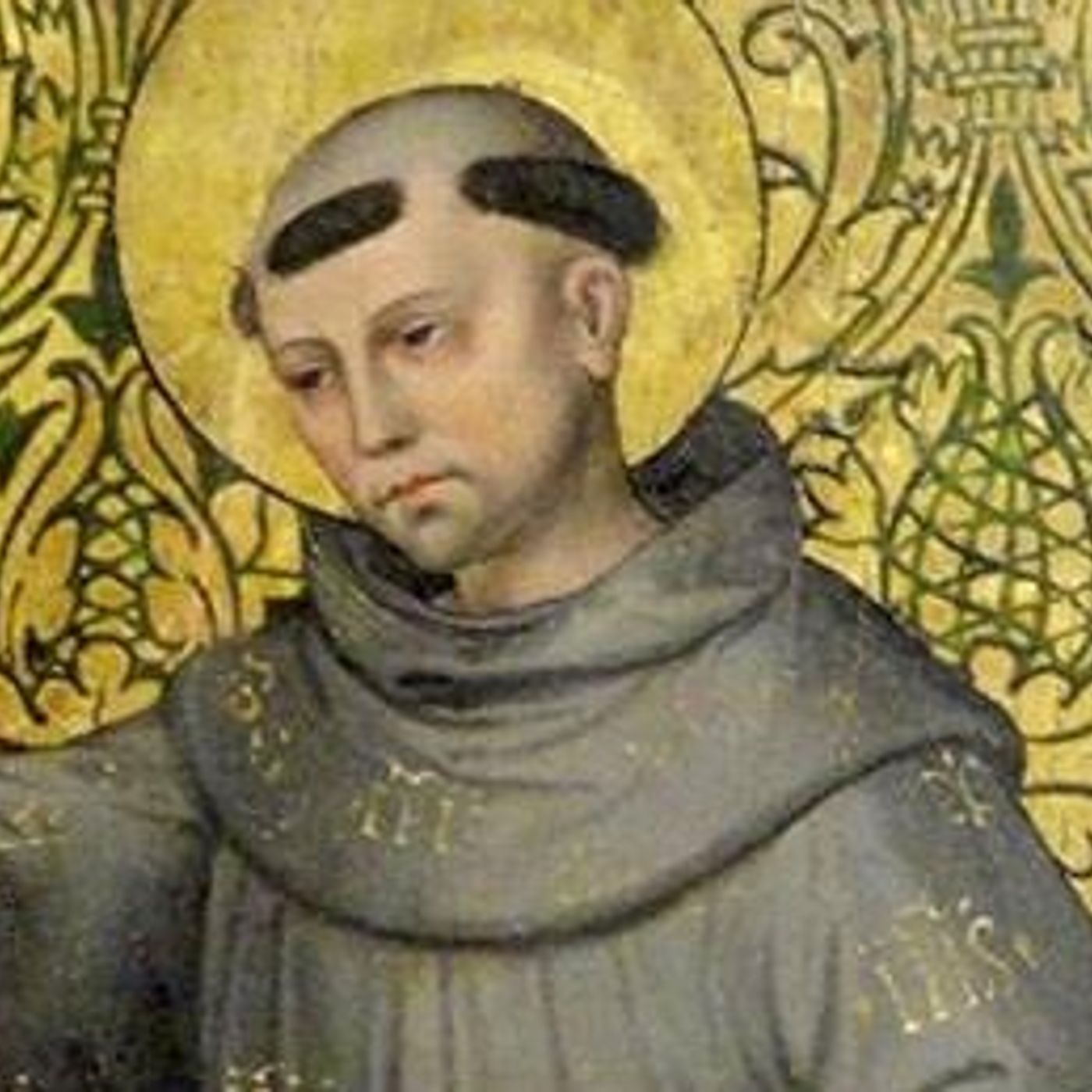San Bernardino da Siena (20 maggio) episode artwork