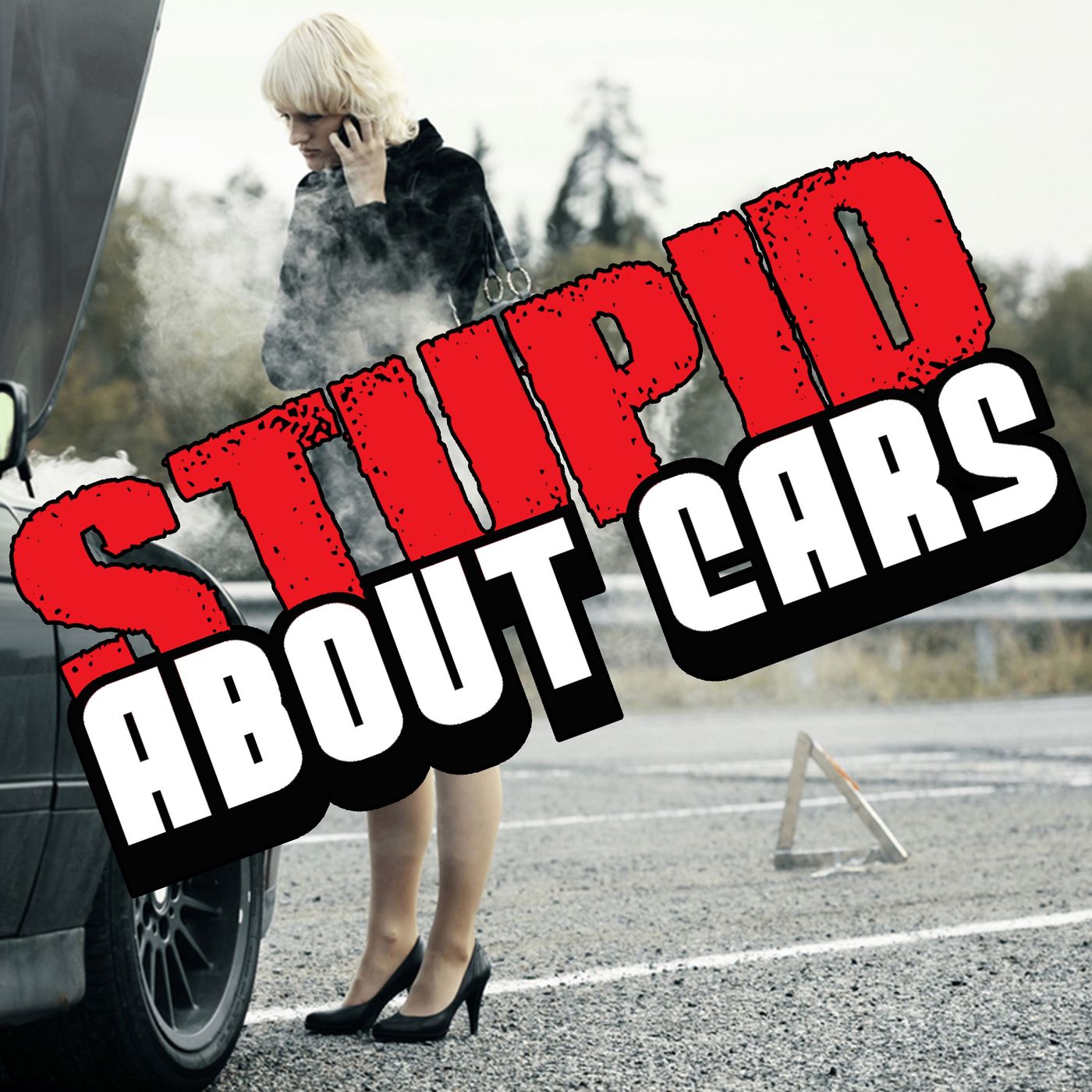 Stupid About Cars