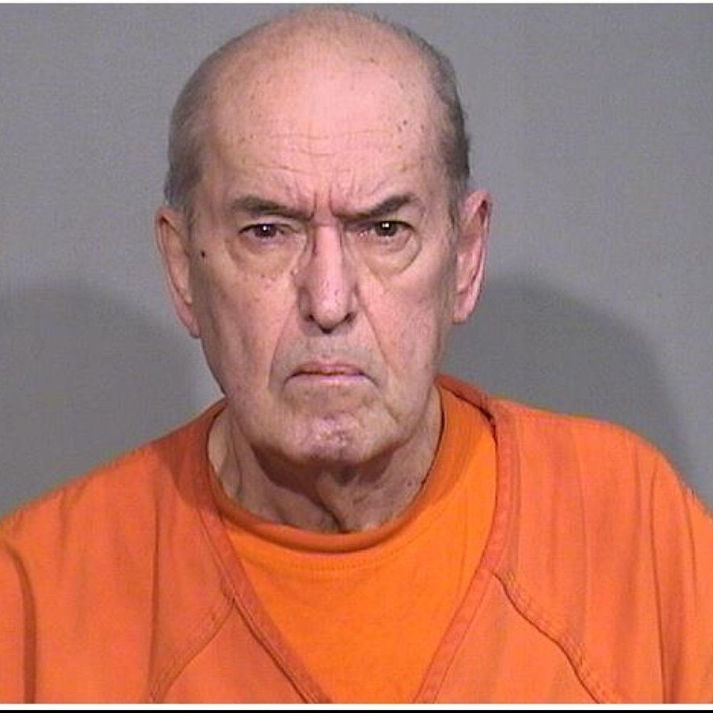 Trout Valley, 79, man pleads guilty to possessing child sex abuse image, gets 3 years of probation episode artwork