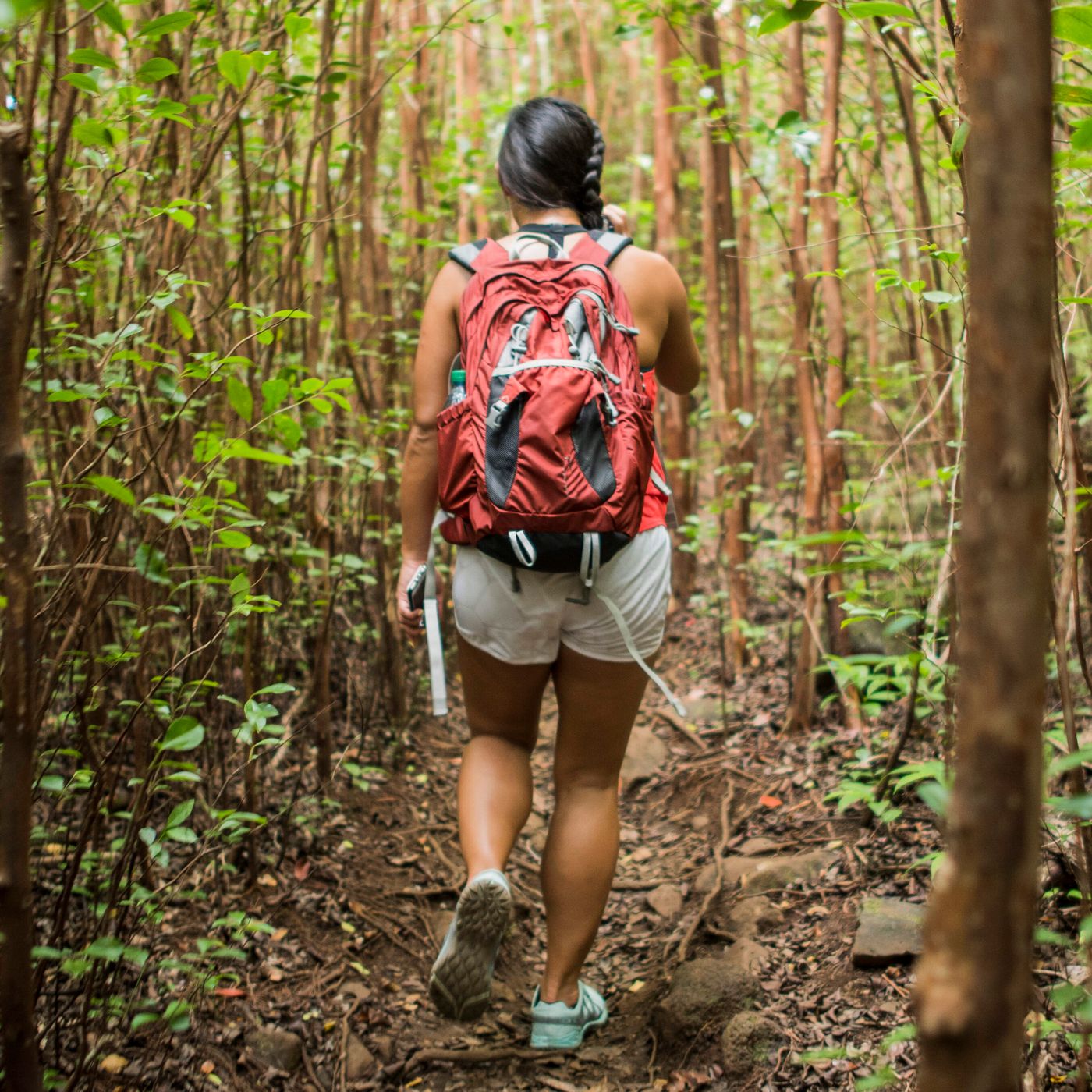 Hiking tips for beginners episode artwork