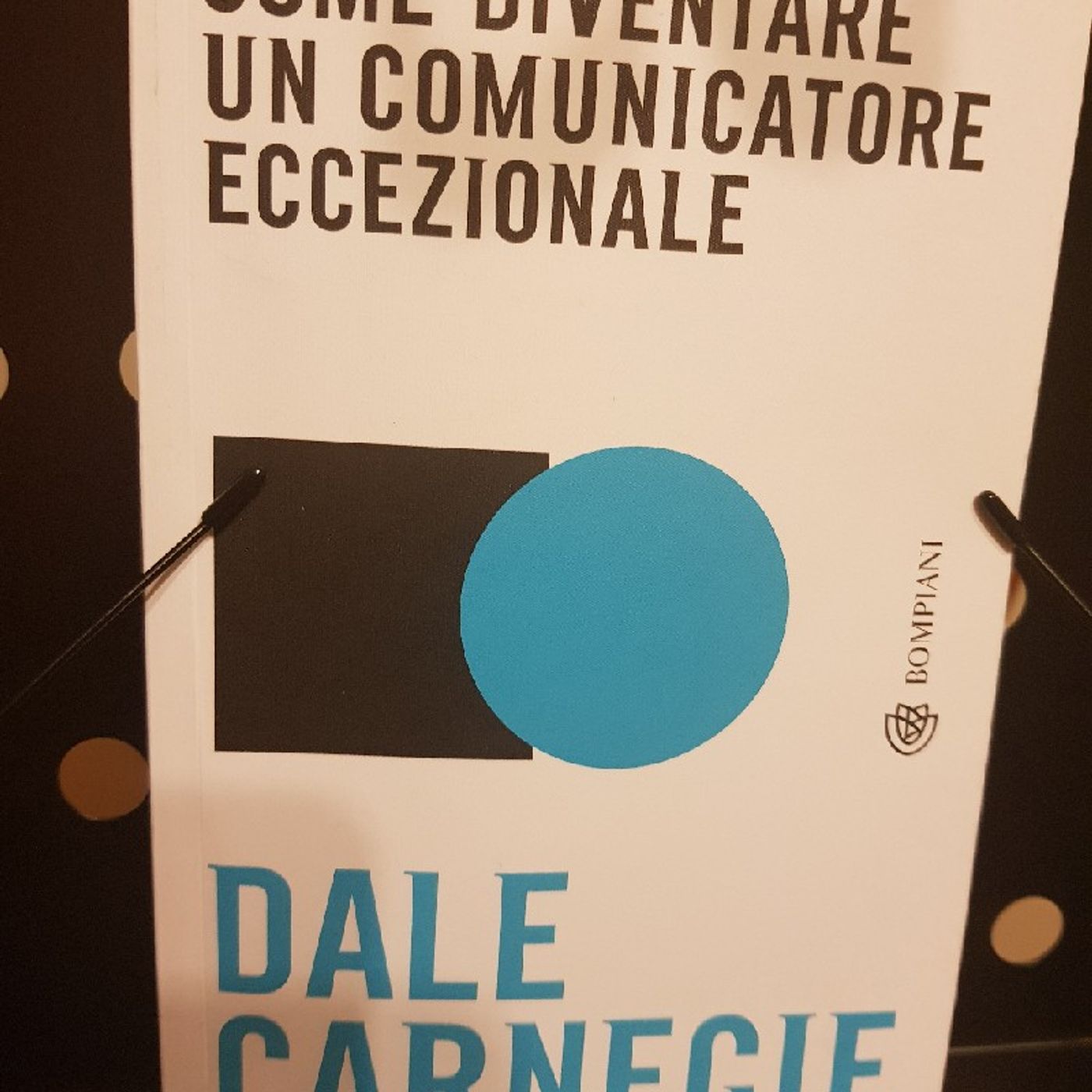 D. Carnegie : Comunicatore Eccezionale