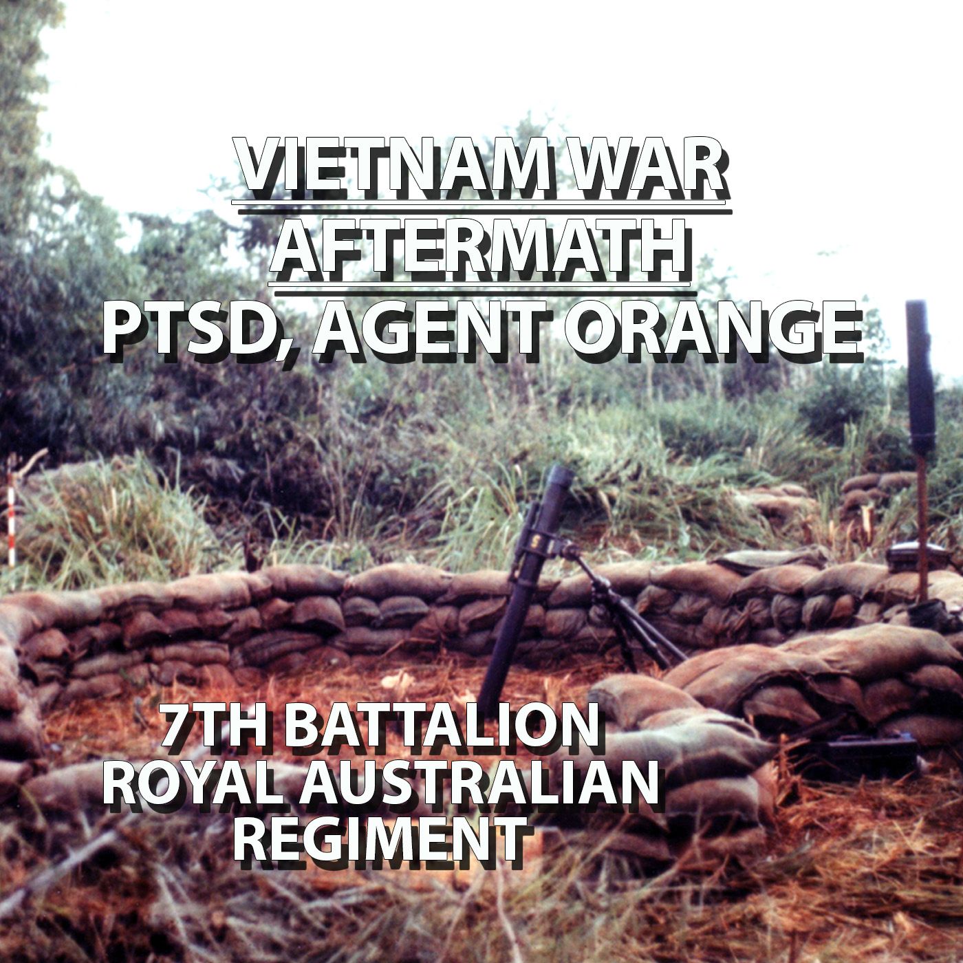The Vietnam War Aftermath Trauma & PTSD episode artwork