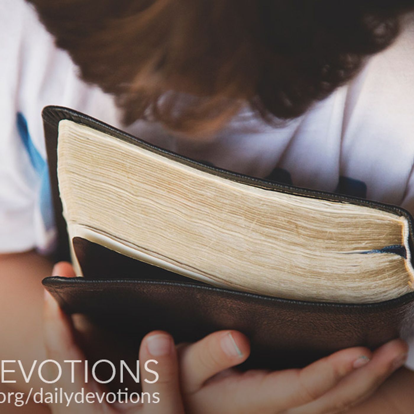 The Value of the Bible