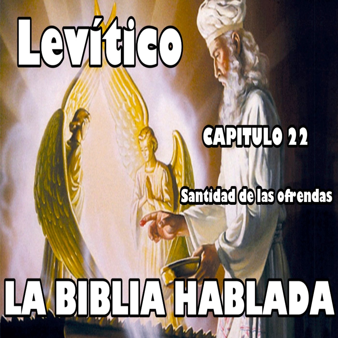 Levítico Capitulo 22. Santidad de las ofrendas episode artwork