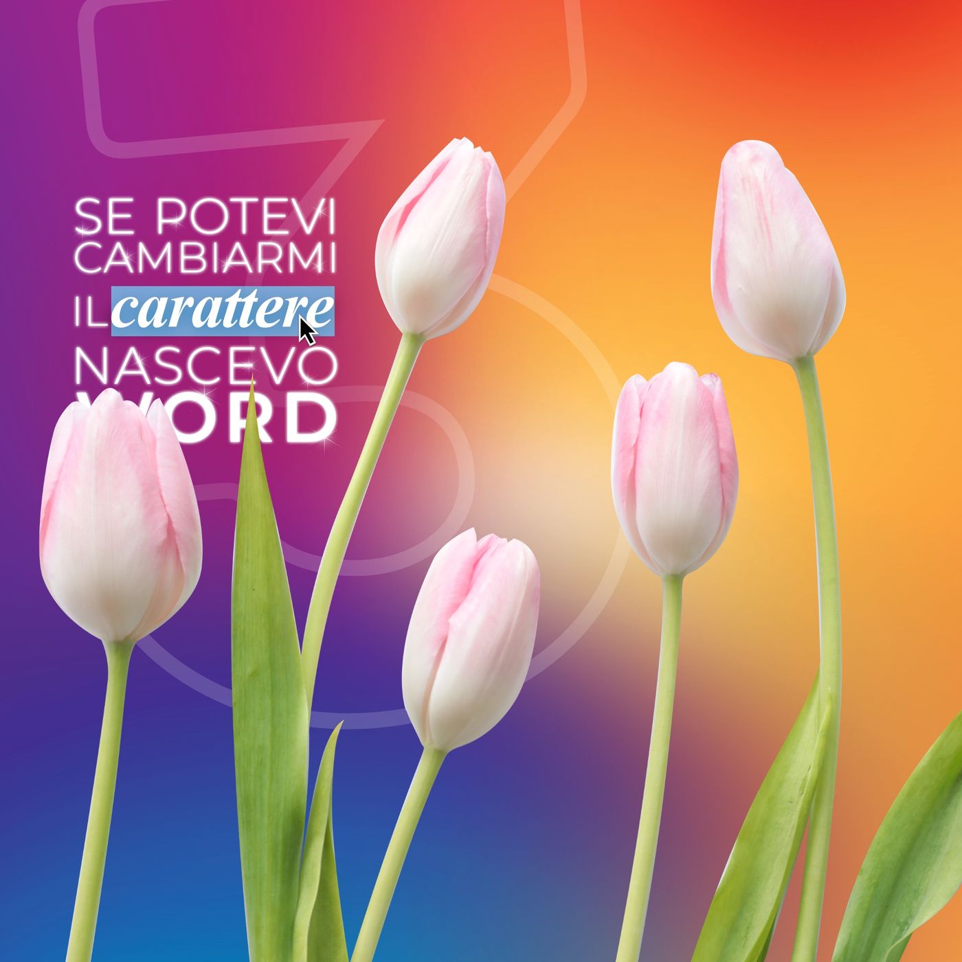 se volevo cambiare carattere nascevo word