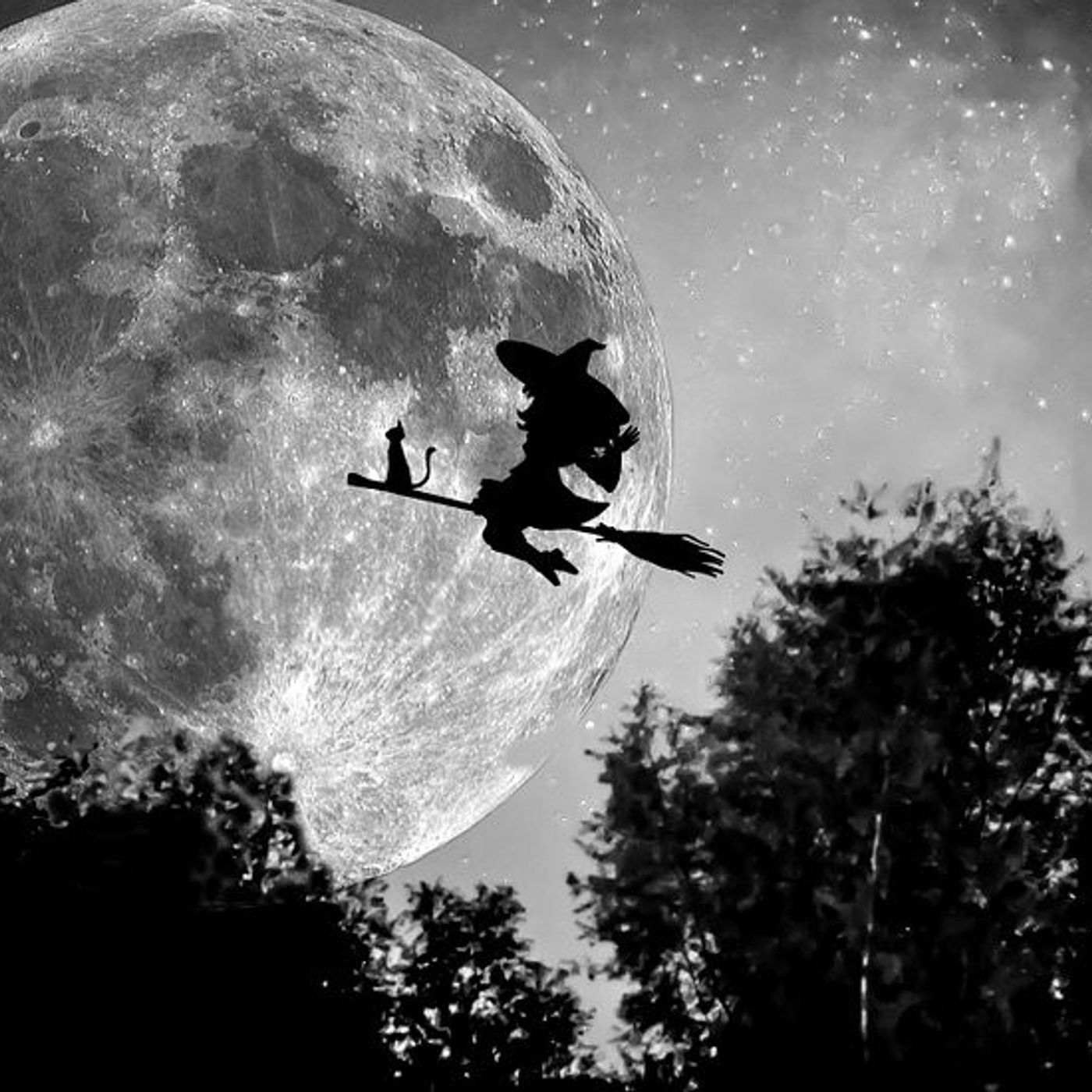 Animali fantastici e dove trovarli