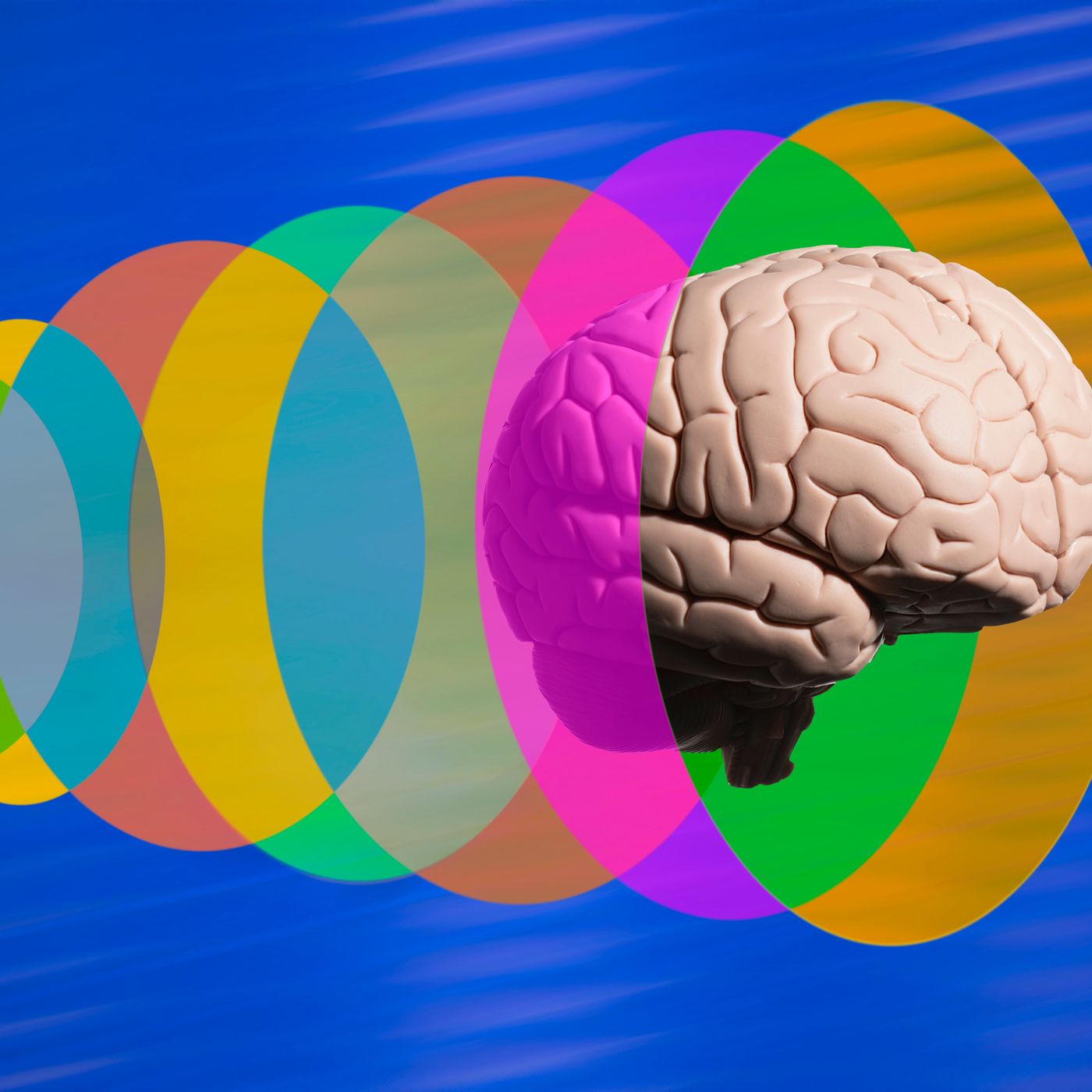 “La misura dell’intelligenza è la capacità di cambiare”: la lezione di Einstein che vale ancora oggi