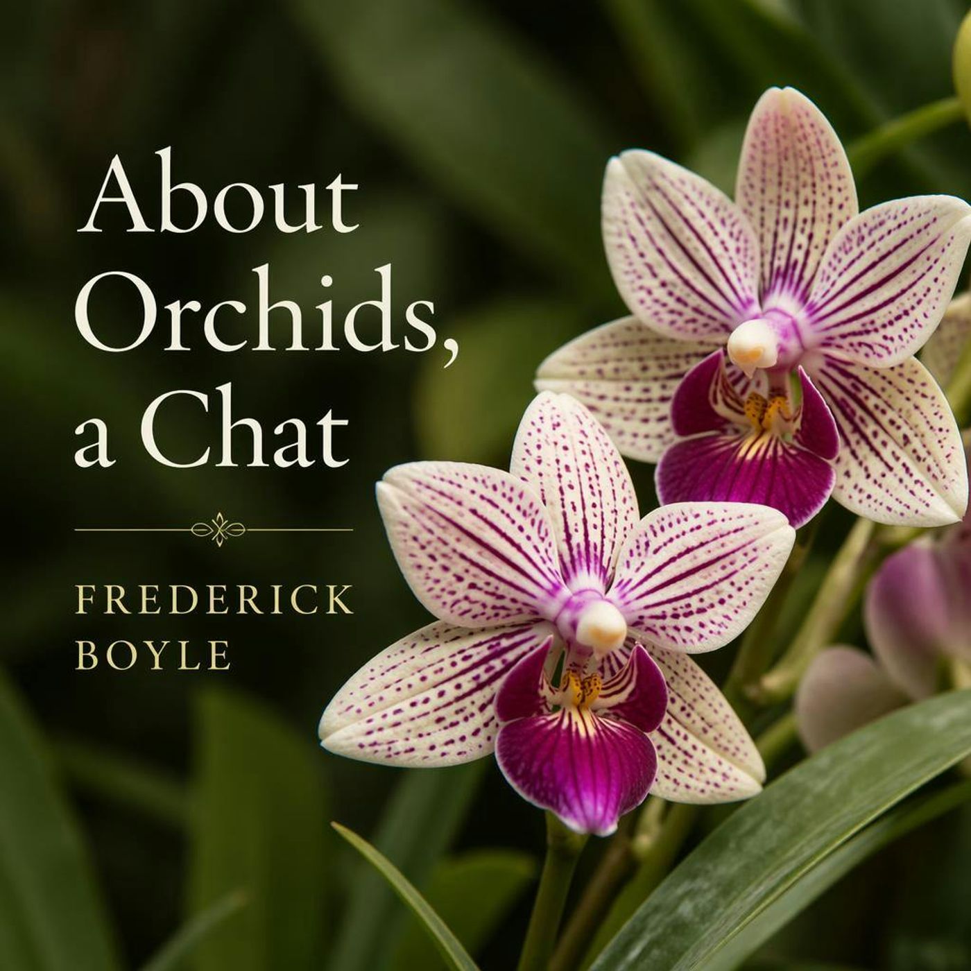About Orchids, a Chat by Frederick Boyle ~ Full Audiobook [science]