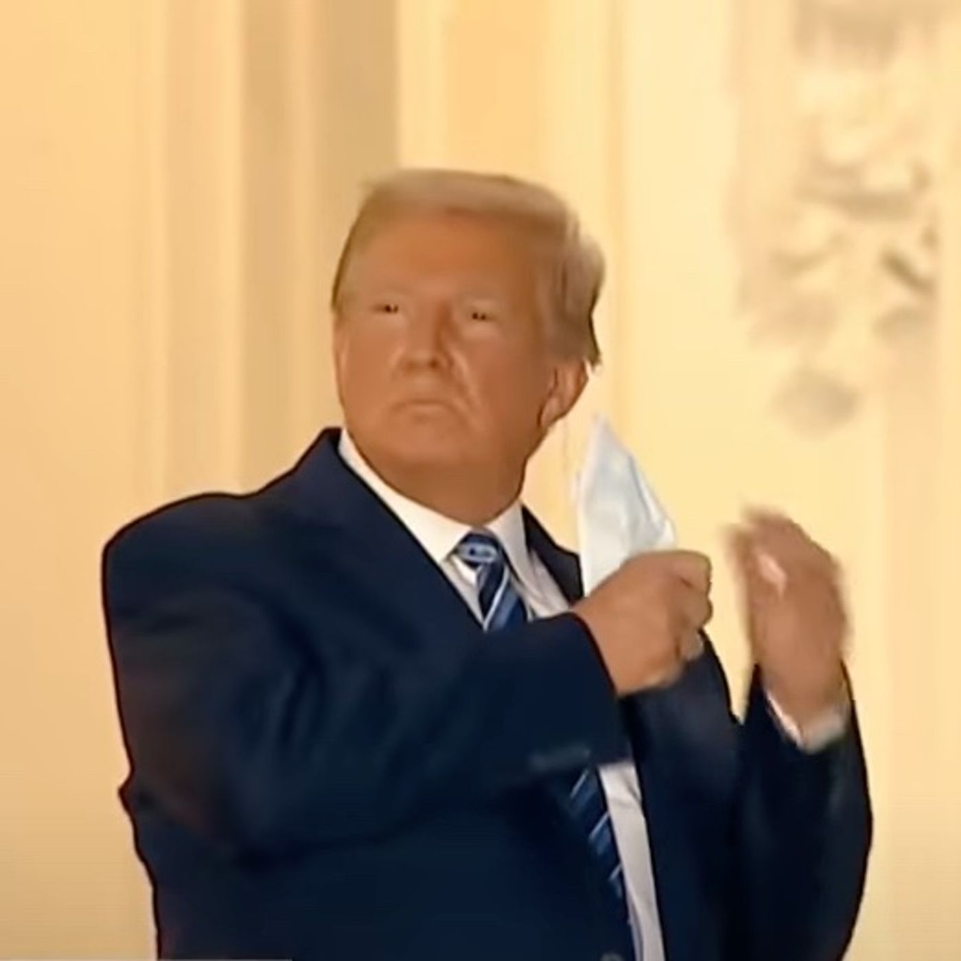 Covid, Not Fraud, Defeated Trump