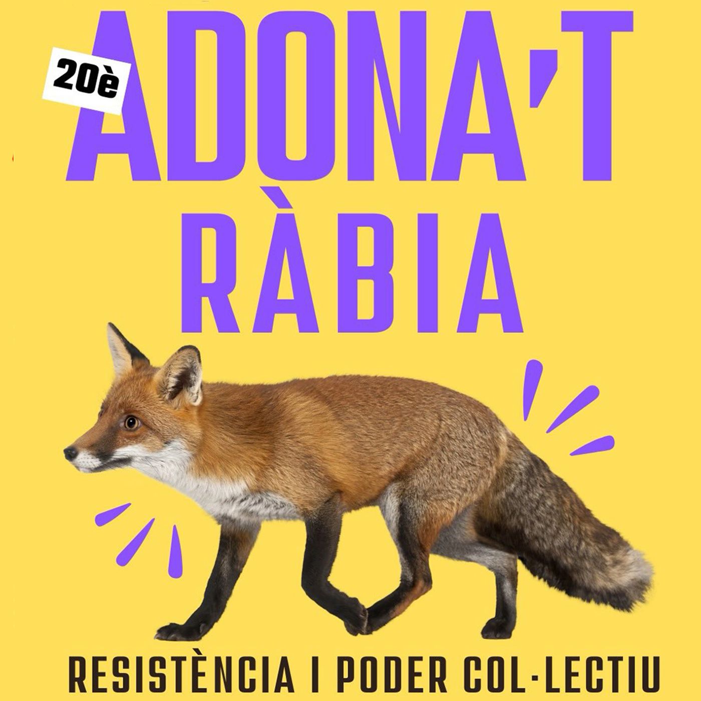 Cicle Adona't, les Vespres del dimecres i Sant Medir episode artwork