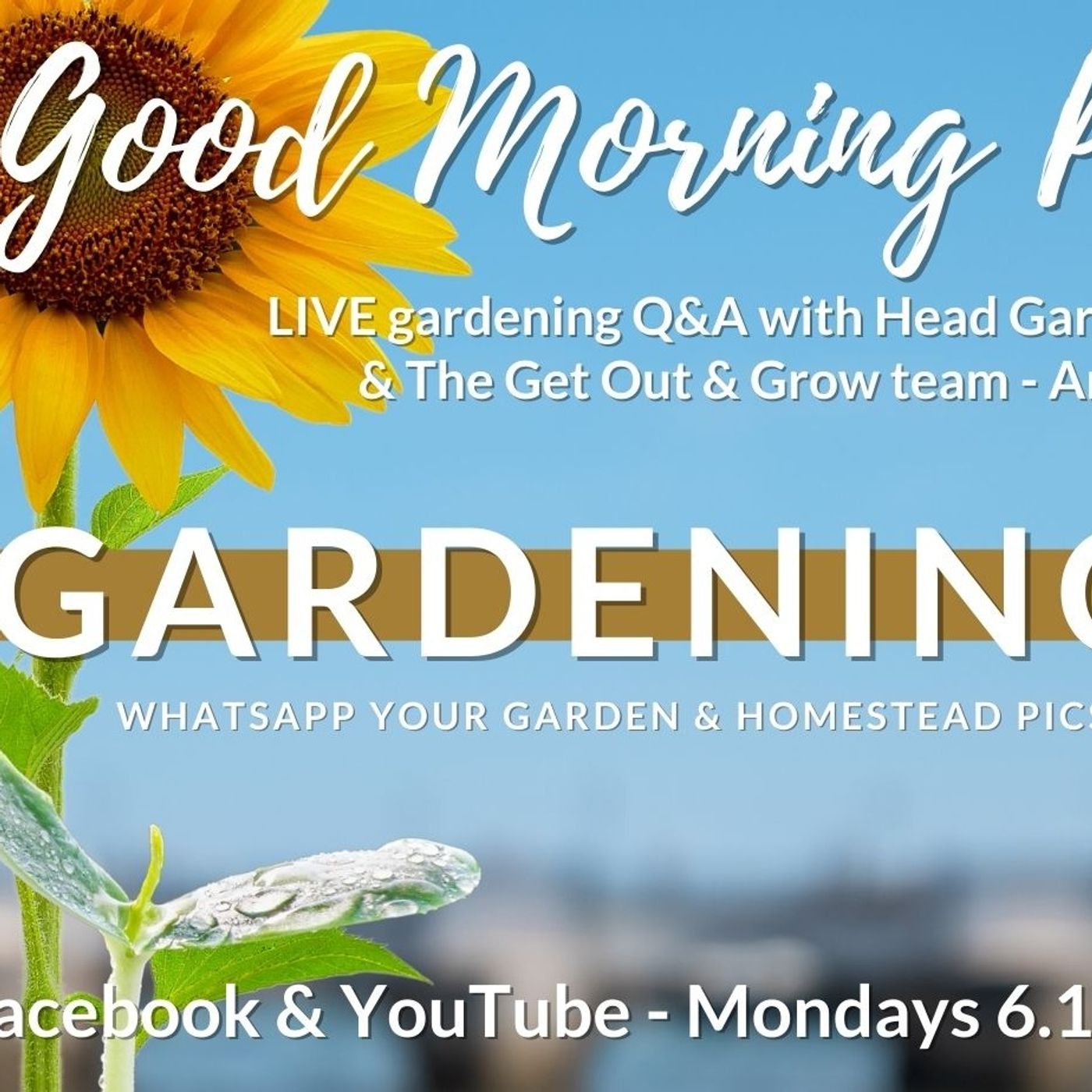 LIVE Gardening Q&A - The Get Out & Grow! Show - 16-01-23